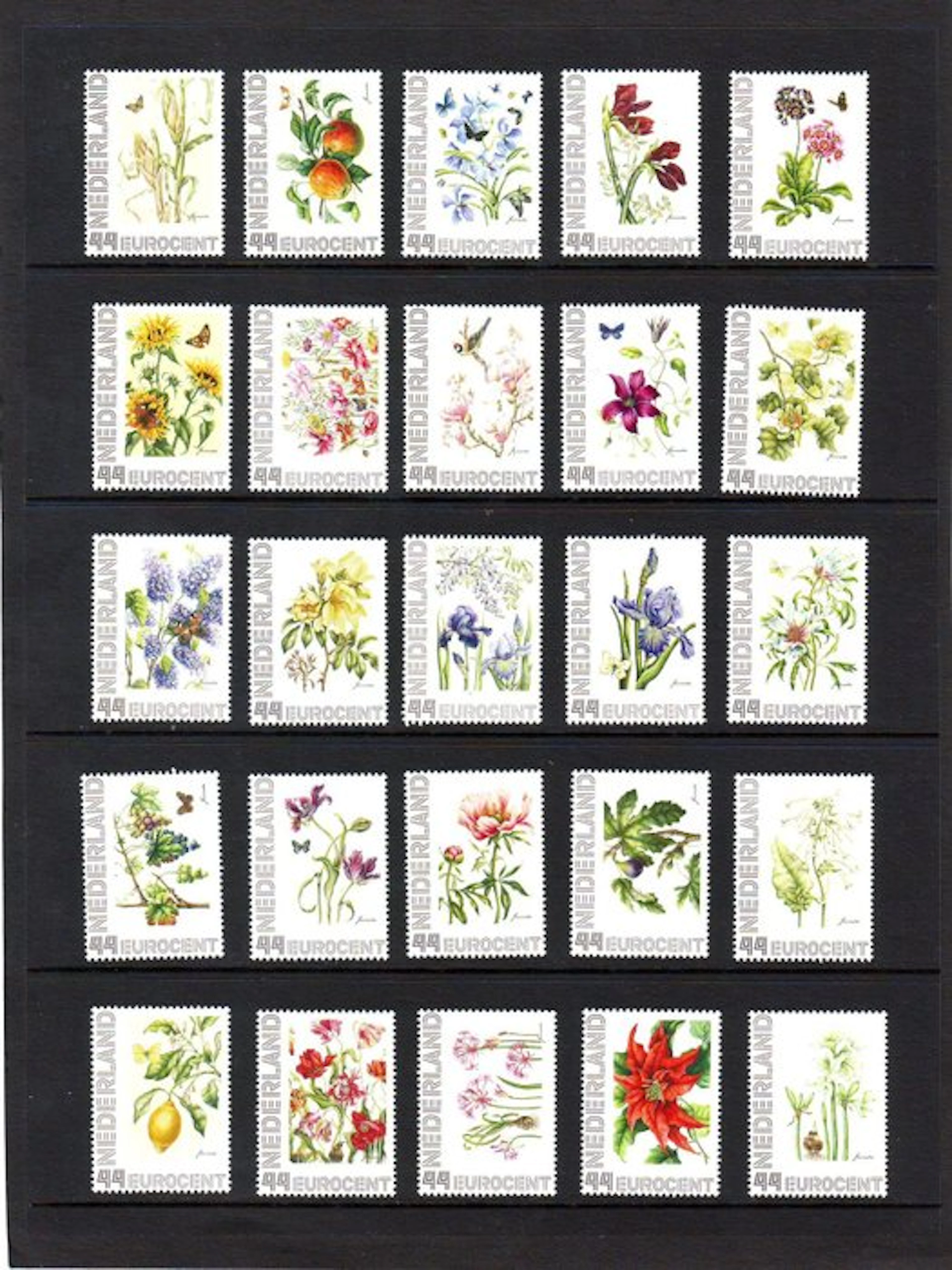 Netherlands 2008/2008 - Netherlands 2008/2008 - Floral...