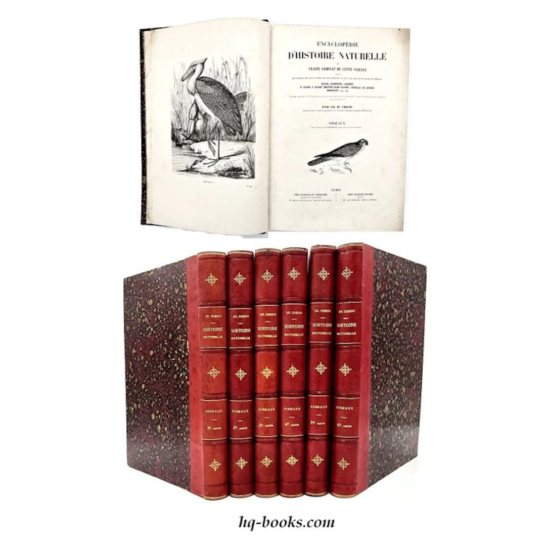 Chenu - Encyclopédie d'Histoire Naturelle. Oiseaux - 1860