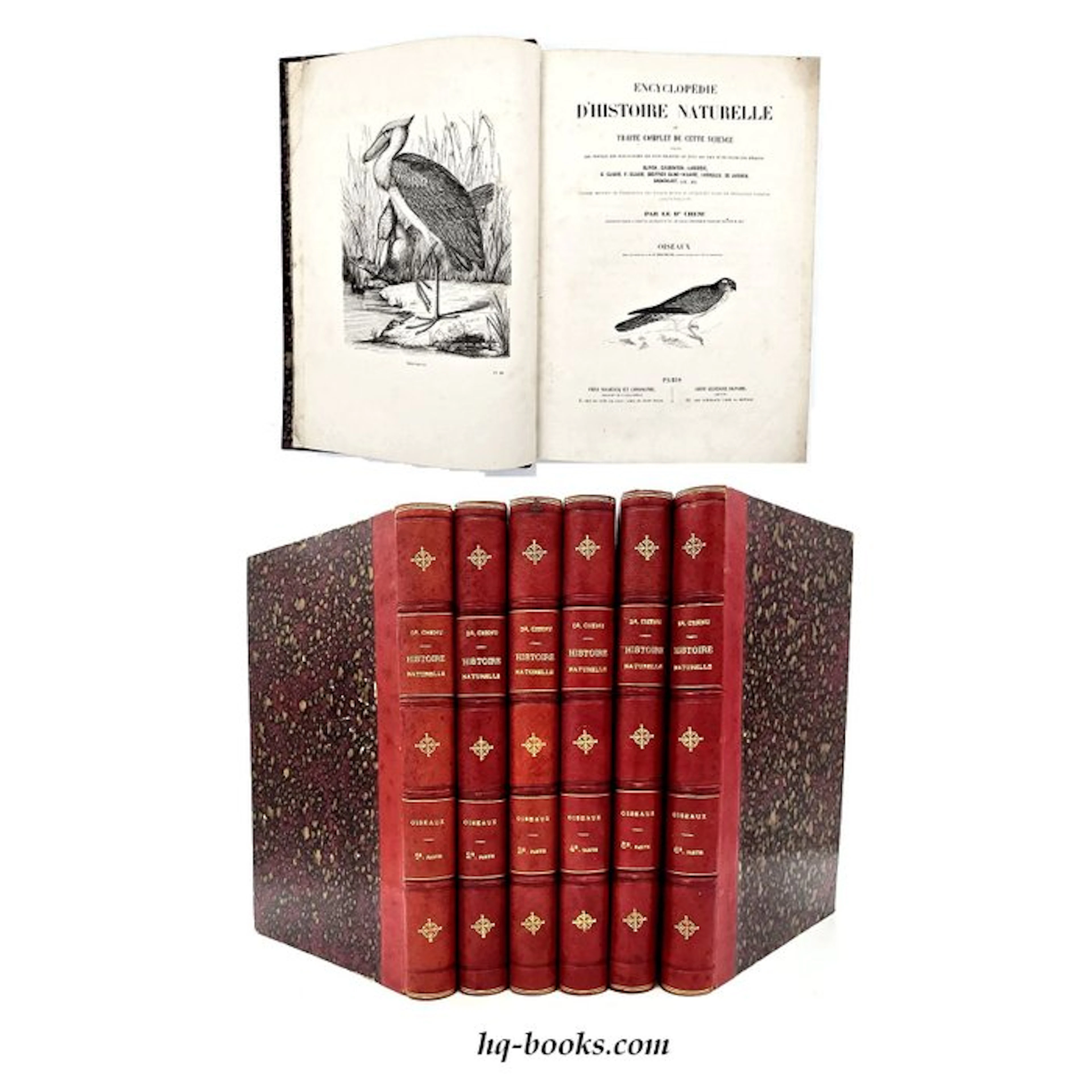 Chenu - Encyclopédie d'Histoire Naturelle. Oiseaux - 1860