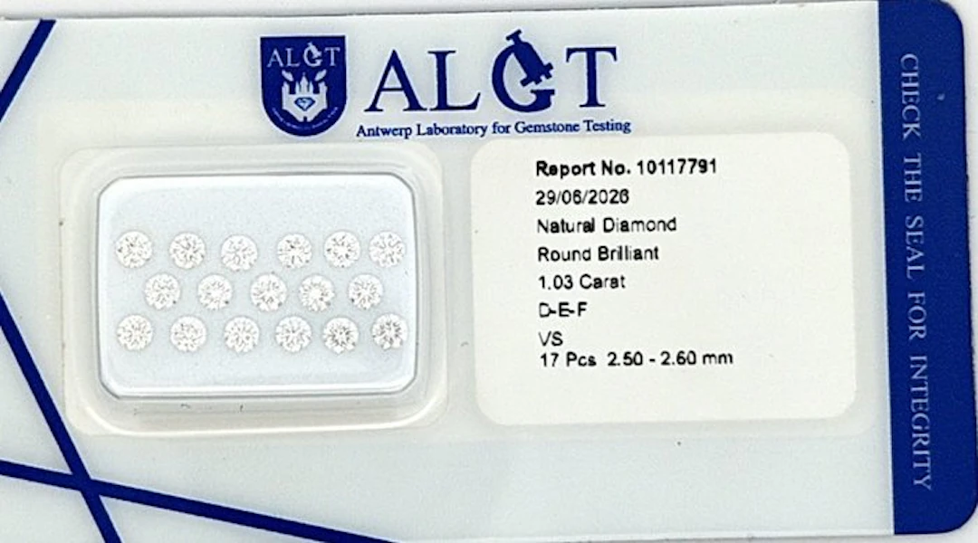 17 pcs Diamond (Natural) - 1.03 ct - Round - F