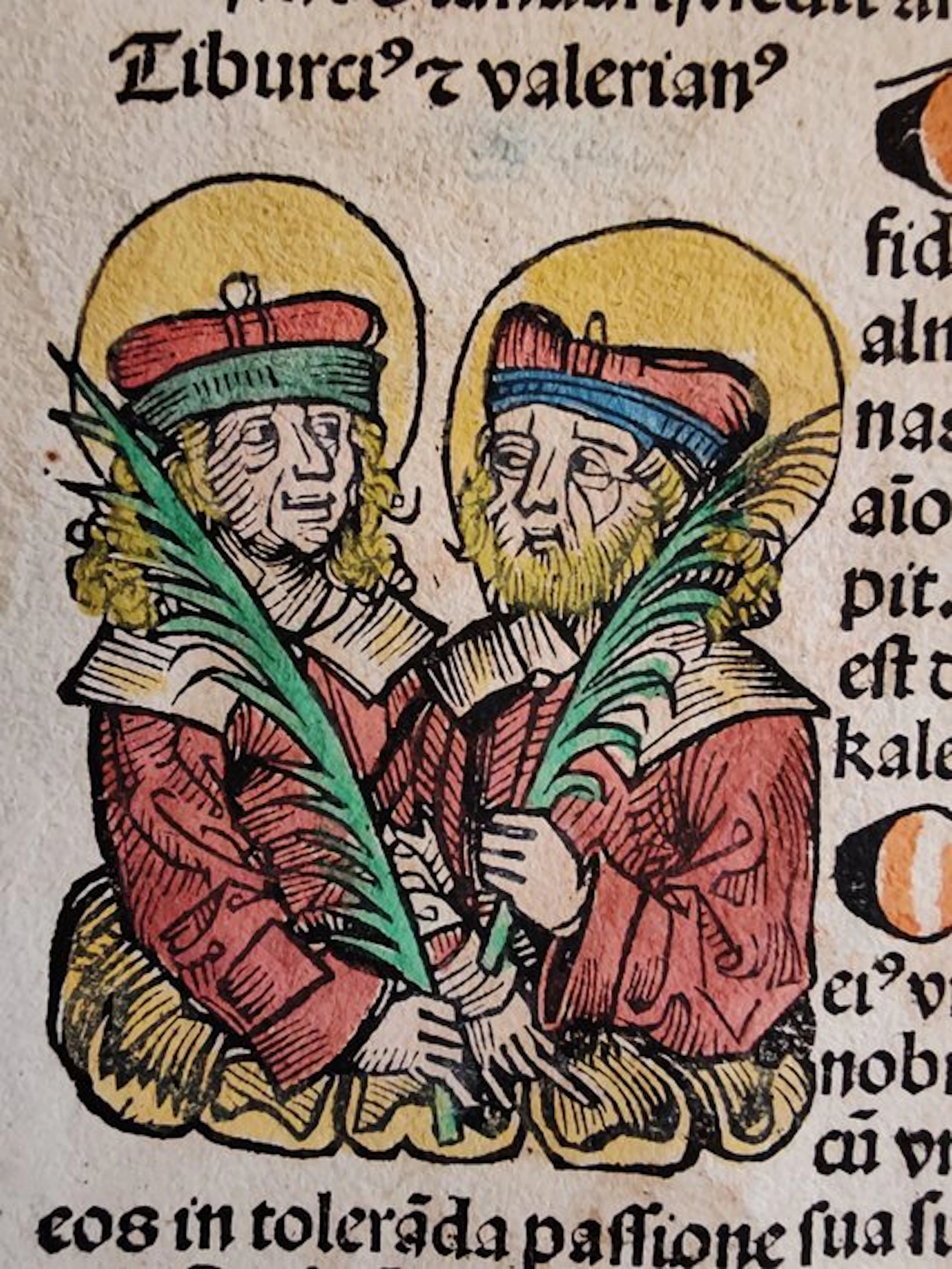 Hartmann Schedel / Wohlgemut / Pleydenwurff / Durer - The...