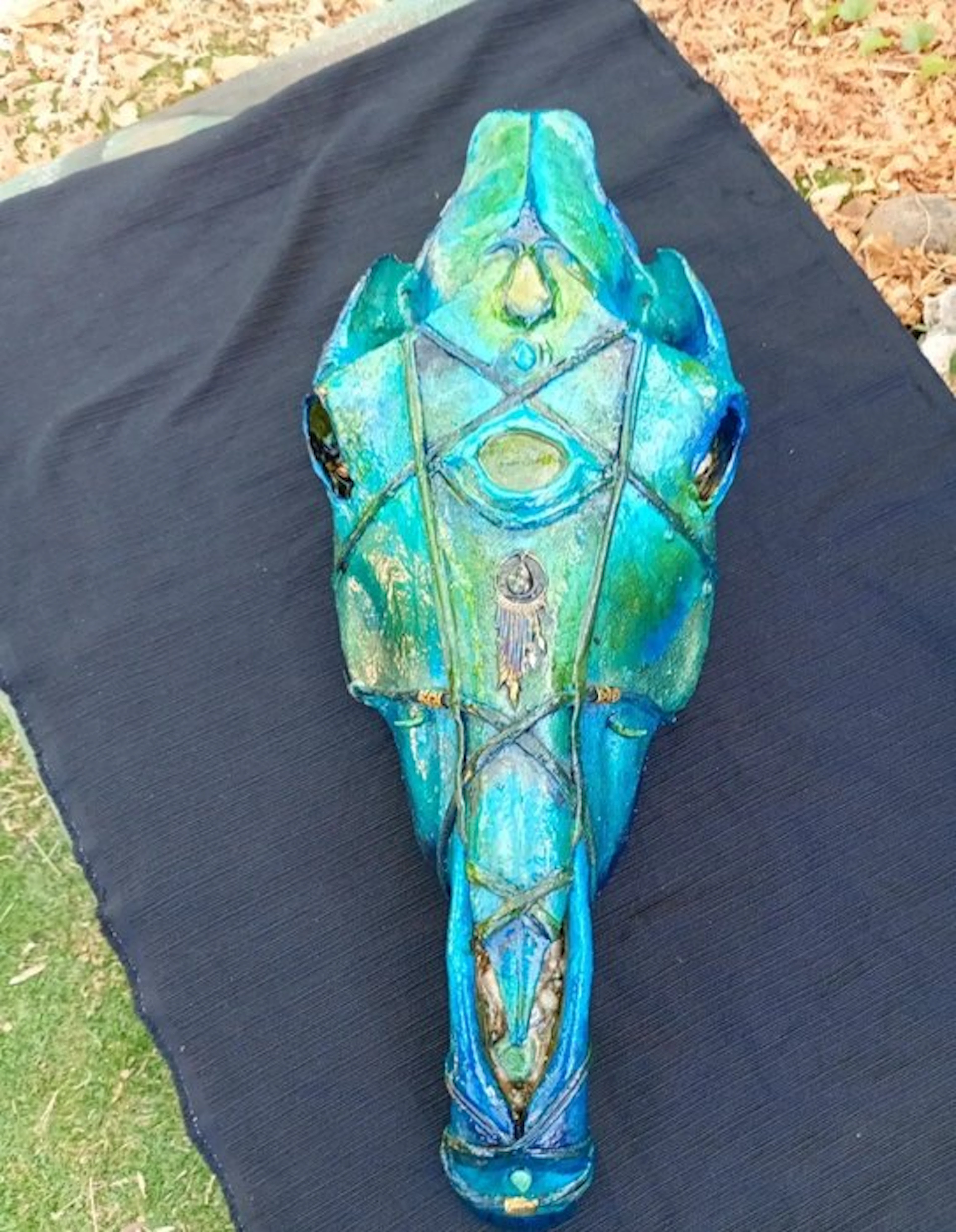 Horse Mammal skull - Equus ferus caballus - 40 cm - 35 cm - 80 cm - (1)