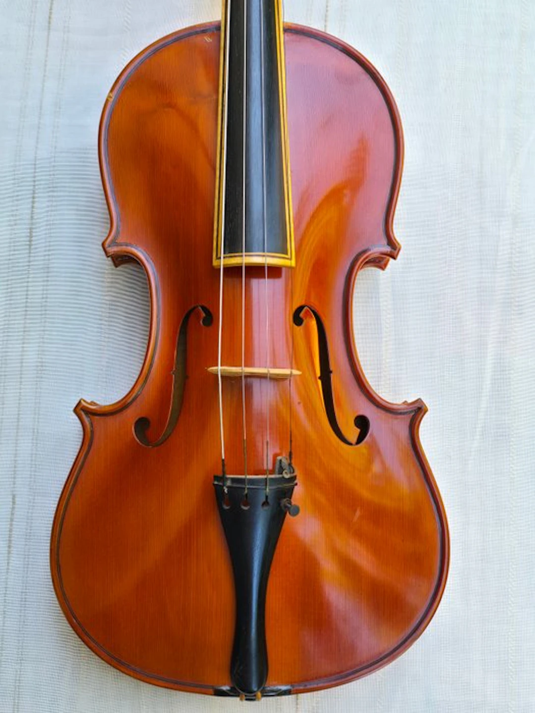 Labelled Lelio Bertozzi - - Violin - Italy - 1972