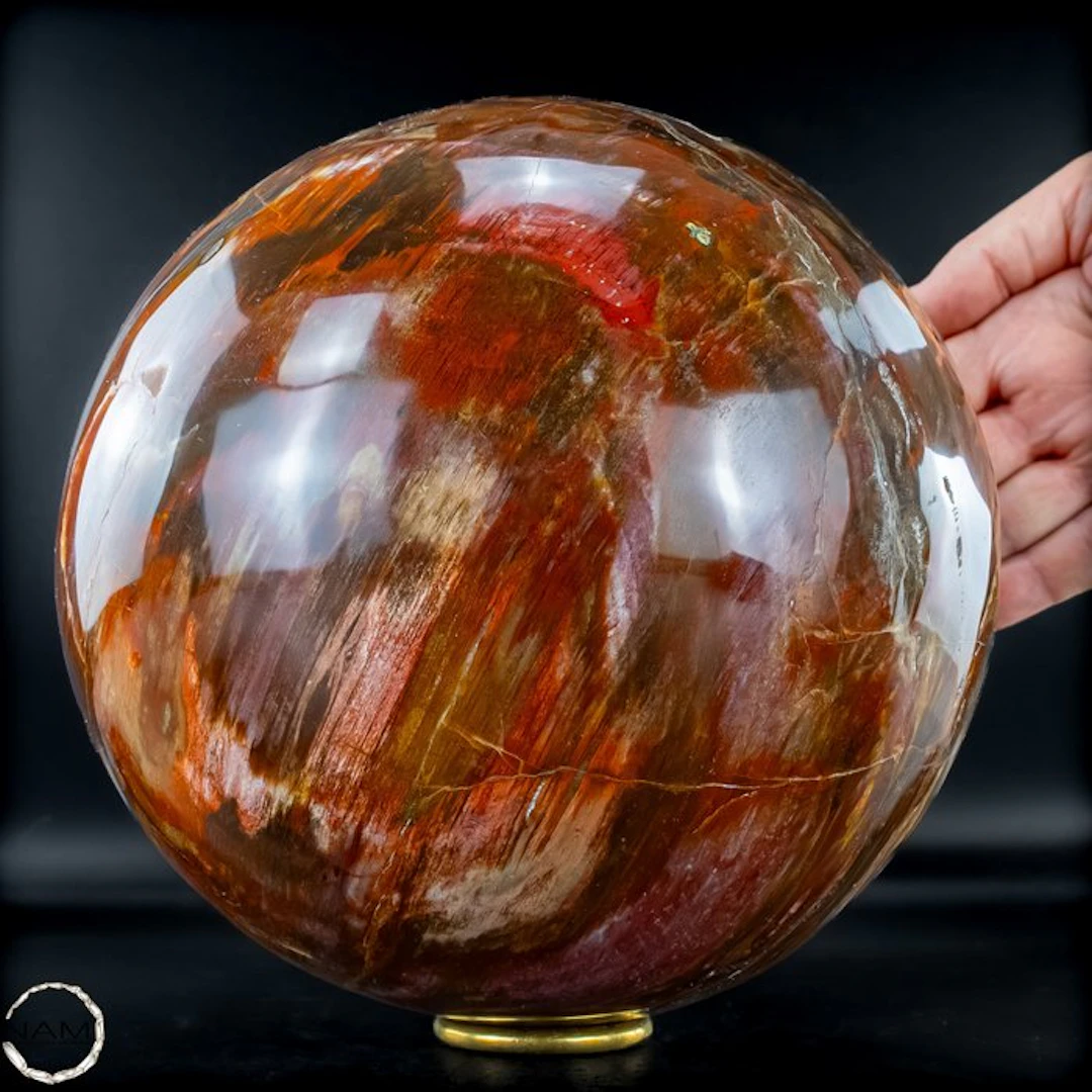 Natural fossilized wood ball – Rare petrification with warm