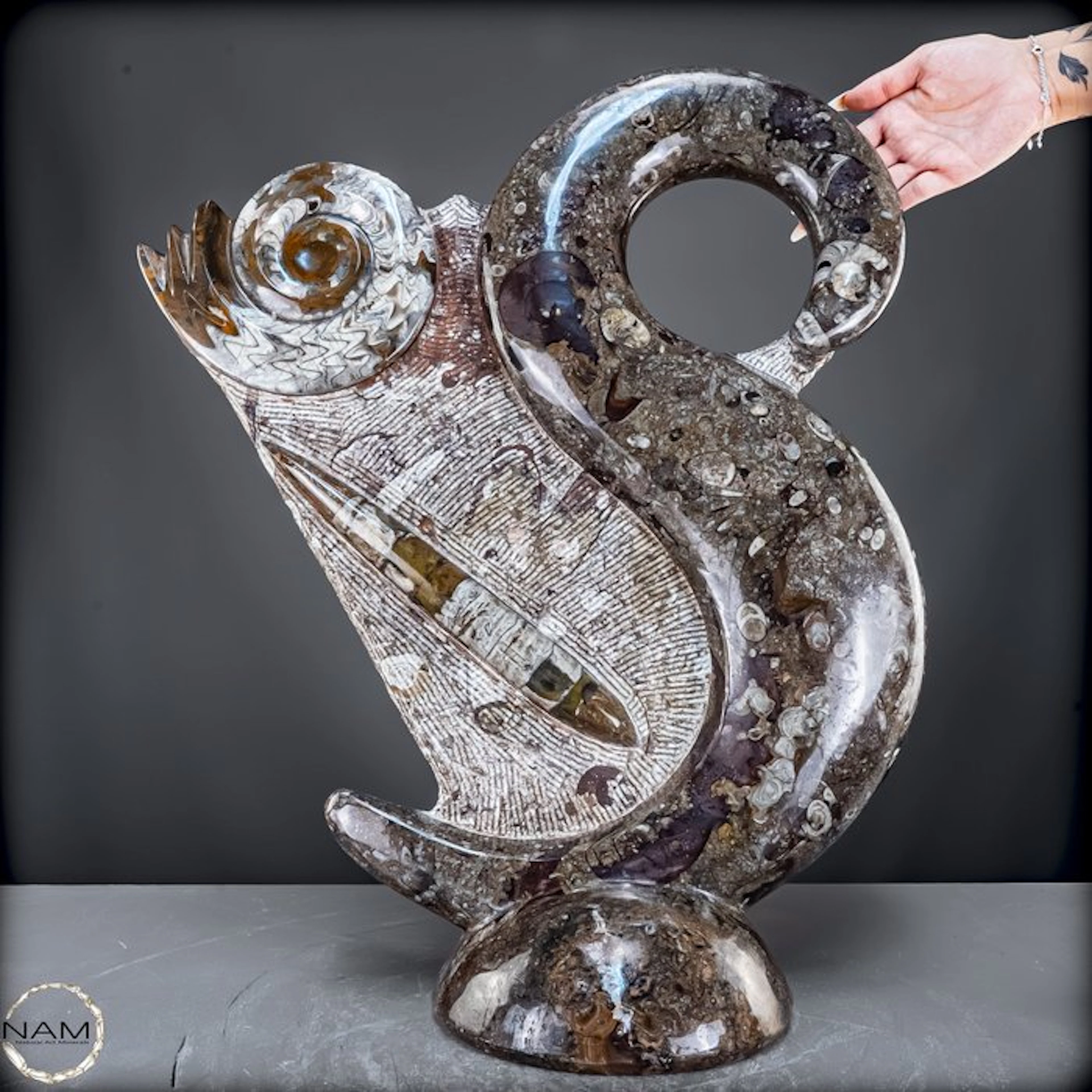 Crinoid Fossil Sculpture – Handcrafted Natural Art Piece...