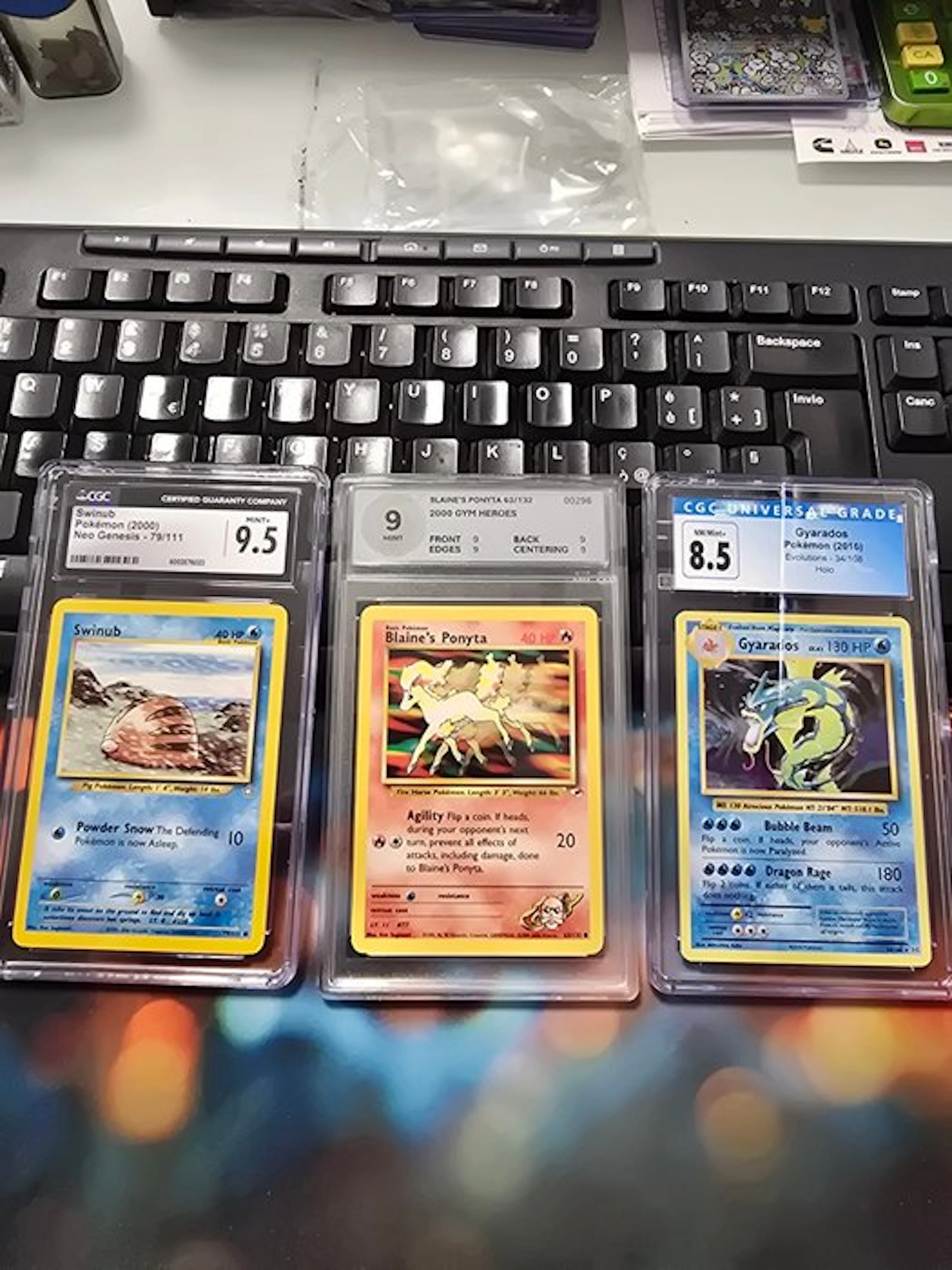 Pokémon - 3 Graded card - Swinub