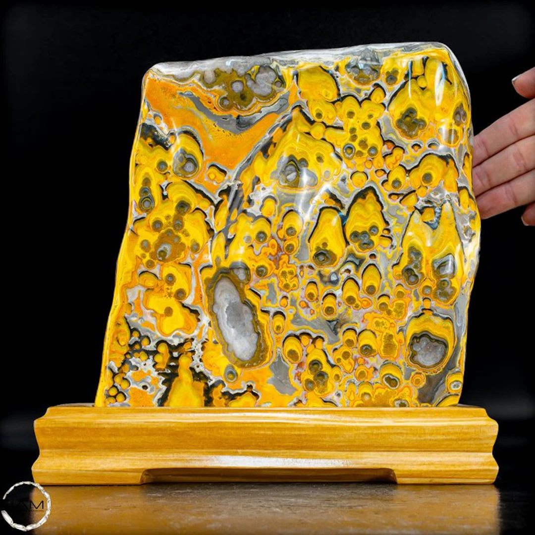 Bumblebee Jasper with a pronounced eye pattern of...