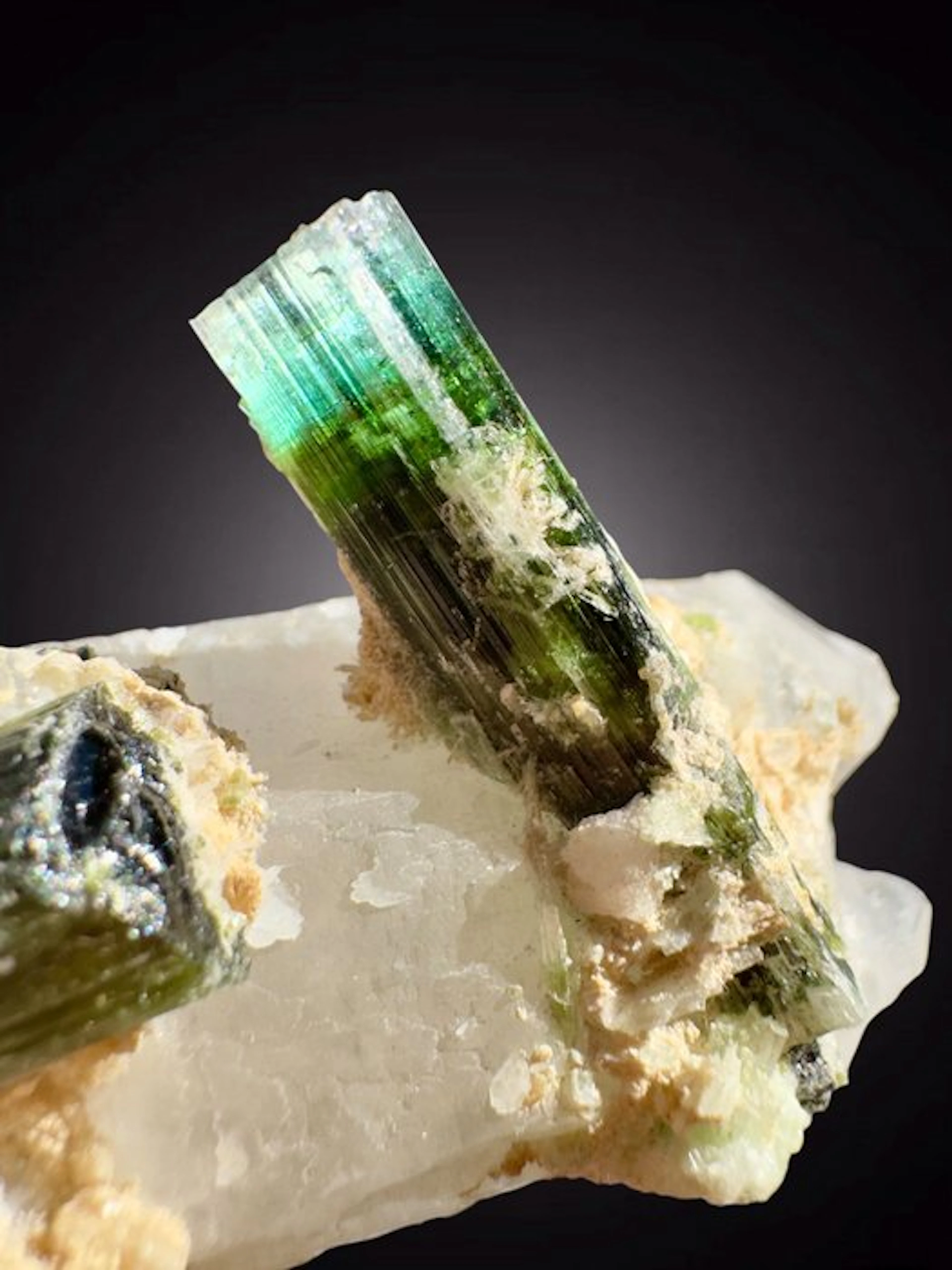 TOP! Terminated tourmaline crystals on matrix Mineral...