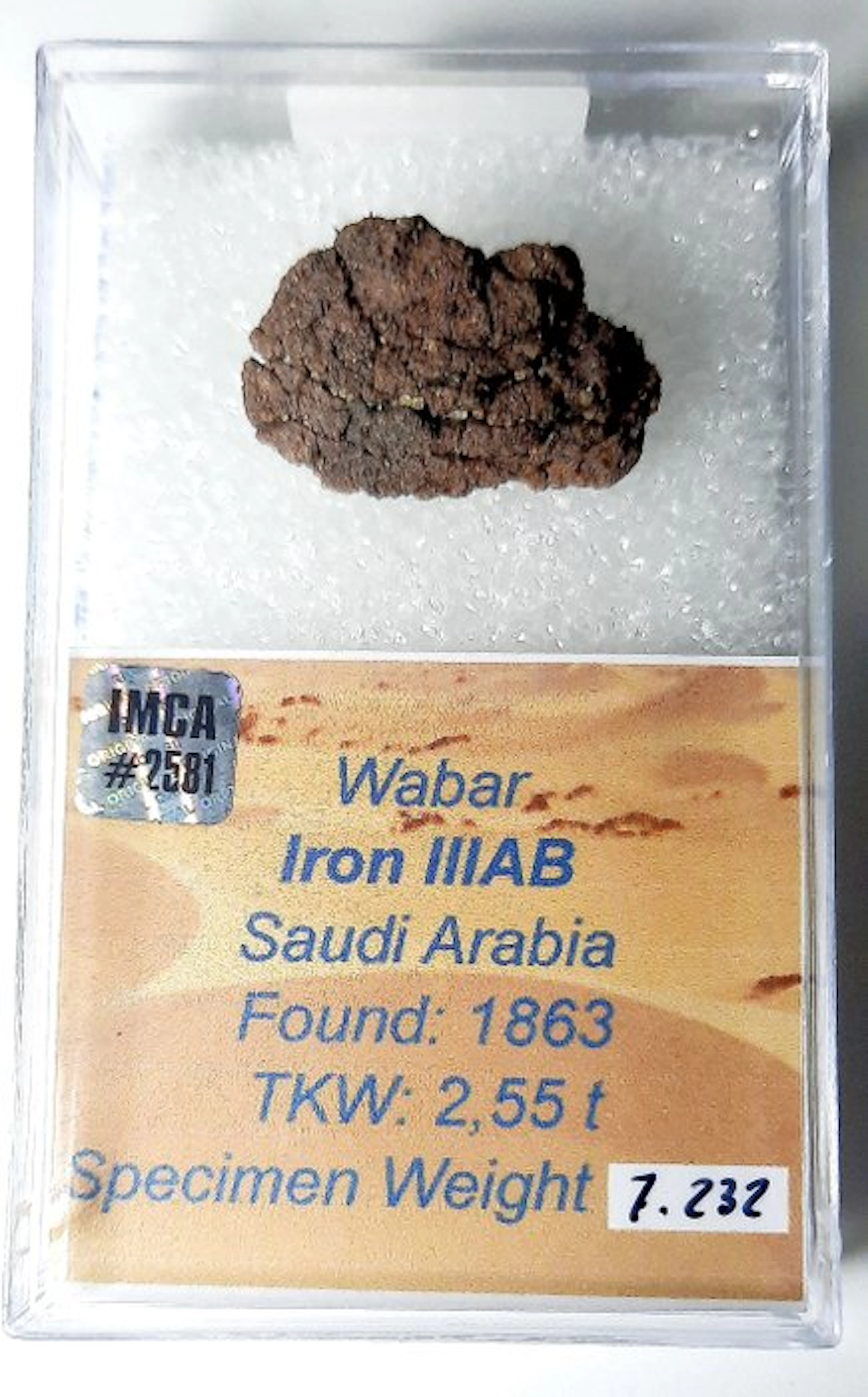 Wabar meteorite IRON IIAB - Height: 28 mm - Width: 7 mm - 7.23 g