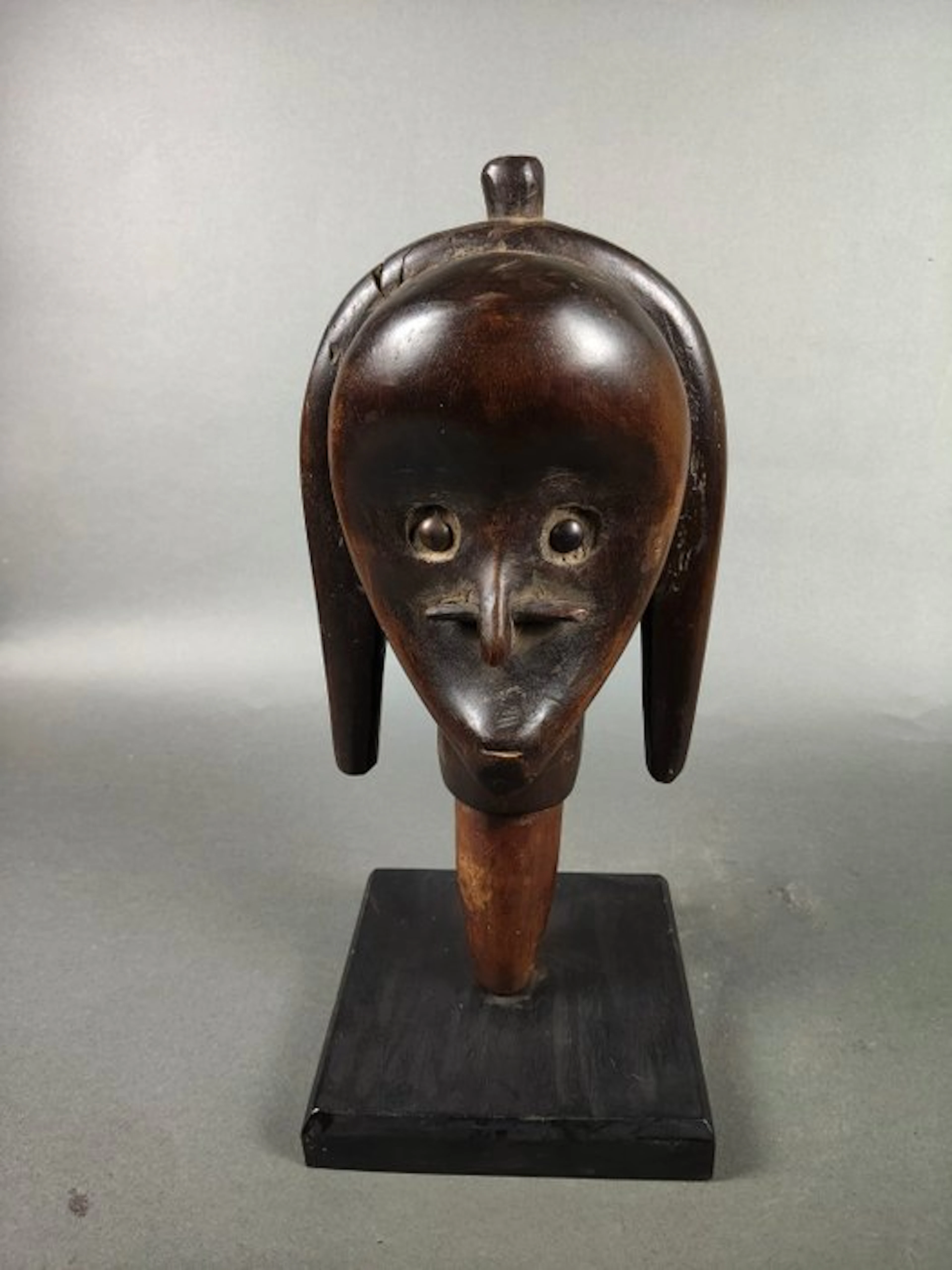 a superb reliquary-guardian head - Fang - Gabon (No reserve price)