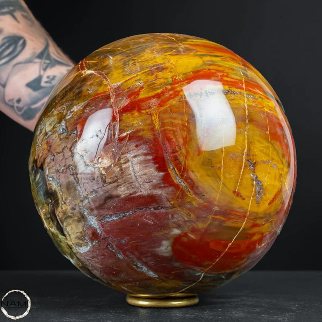 Natural petrified wood as a sphere – intense grain with...