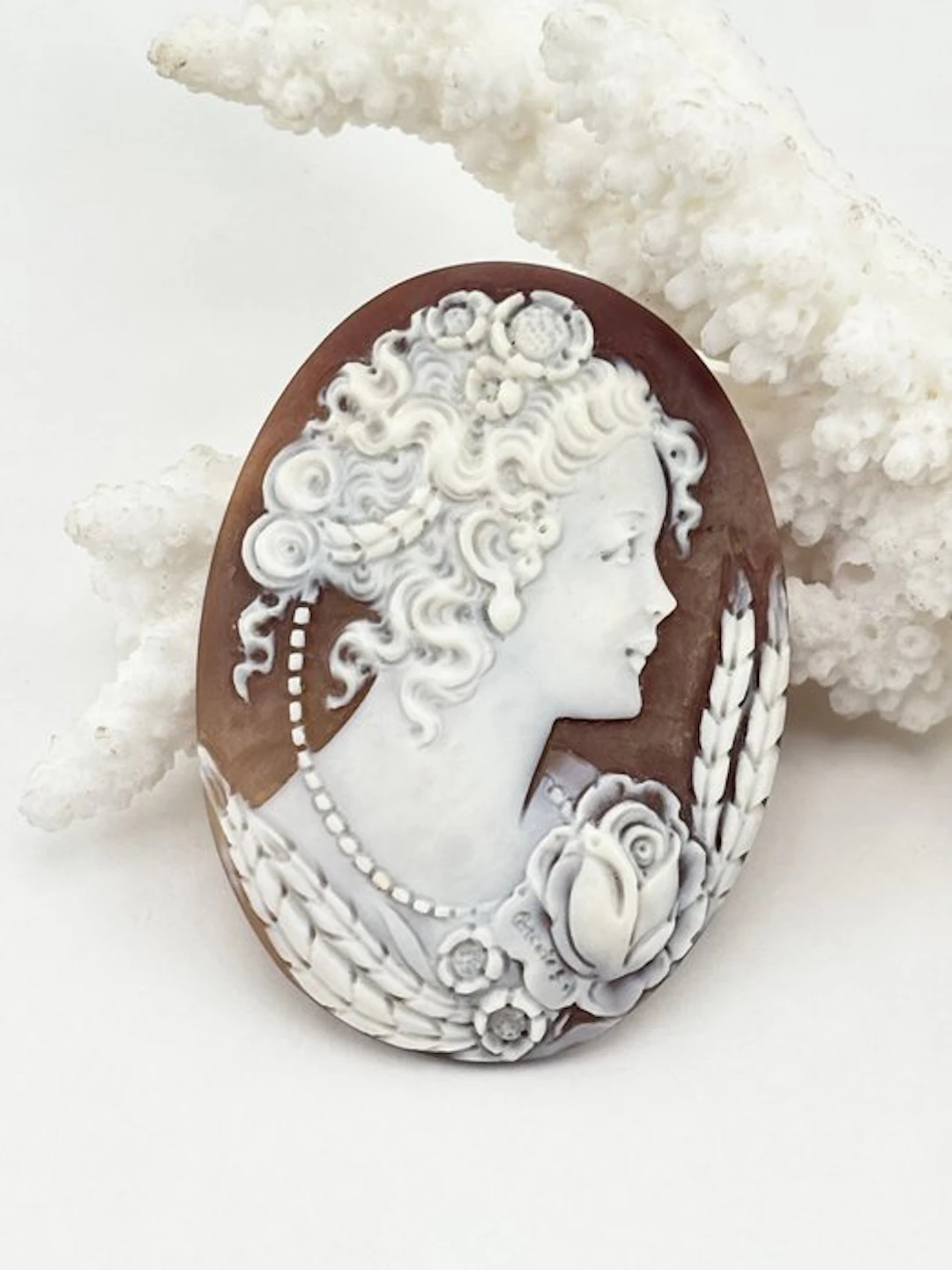 Cassis madagascariensis - Cameo - Hand-carved cameo