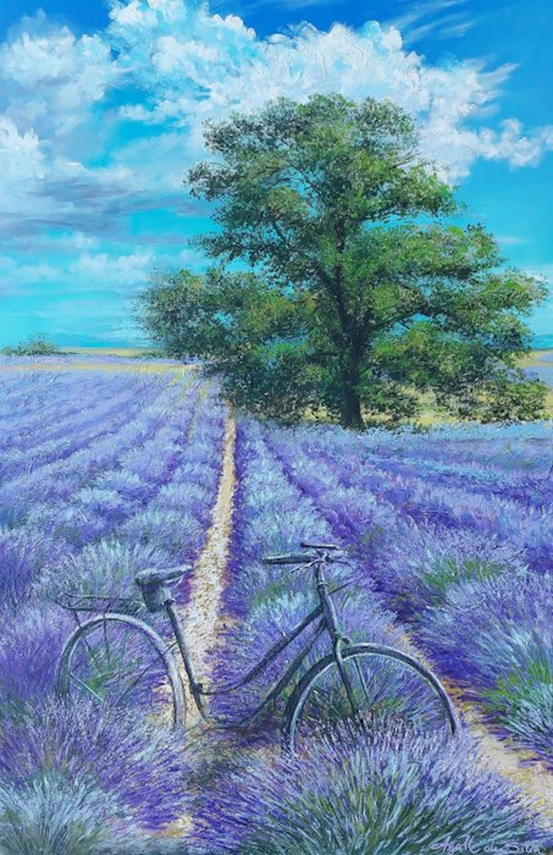 Agalle de Silva (XXI - Lavanda
