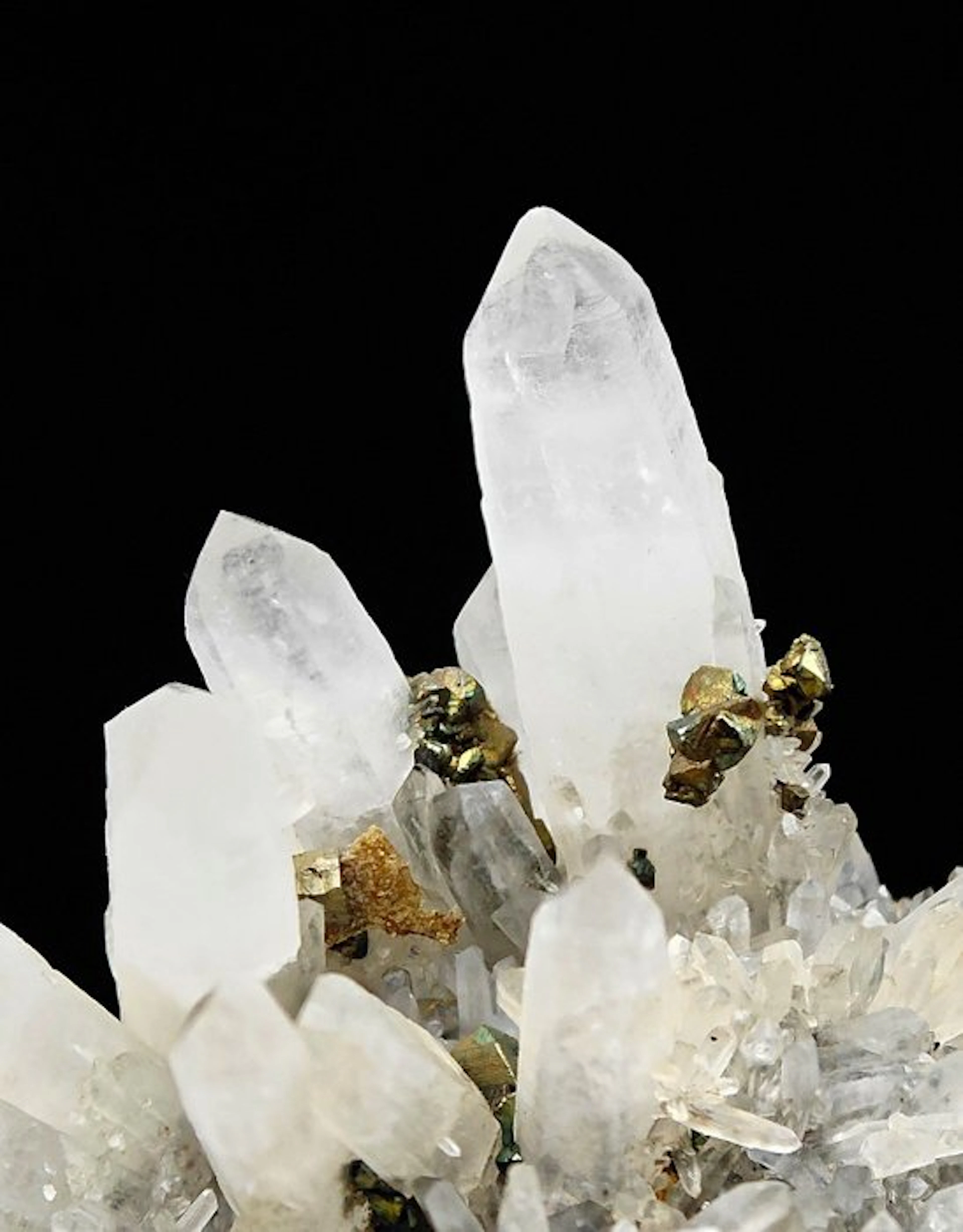 Milky quartz with pyrite and golden chalcopyrite