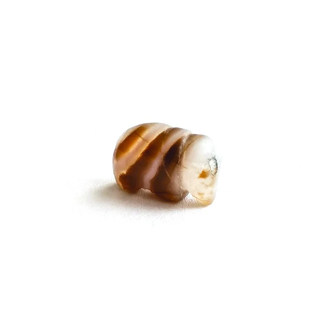 Indus Valley Agate XS Elephant Bead Talisman - 9 mm