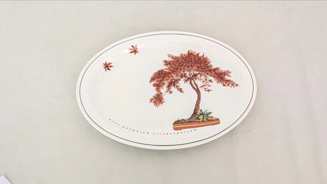 Richard Ginori - Tray - Porcelain - Bonsai