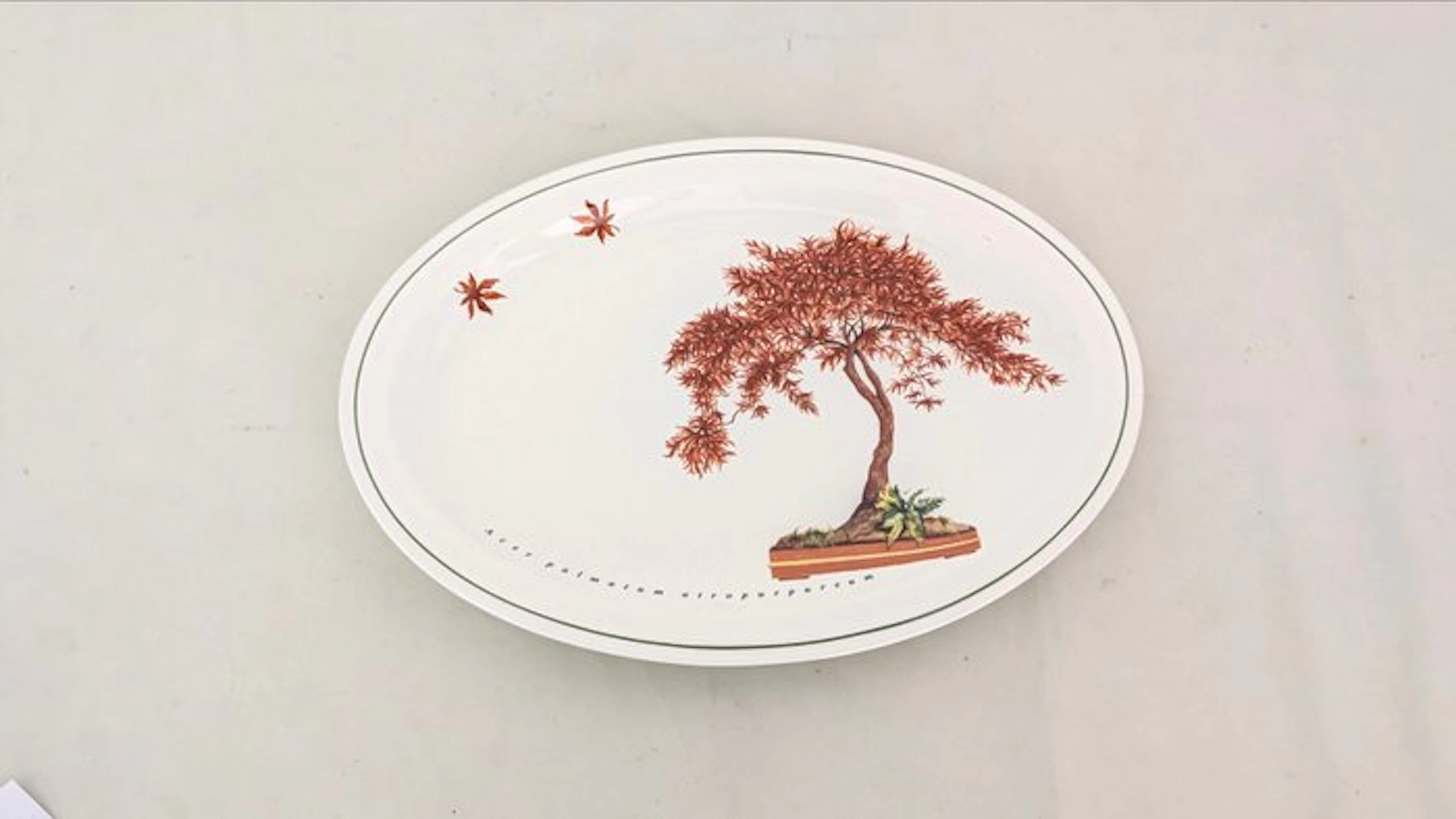 Richard Ginori - Tray - Porcelain - Bonsai