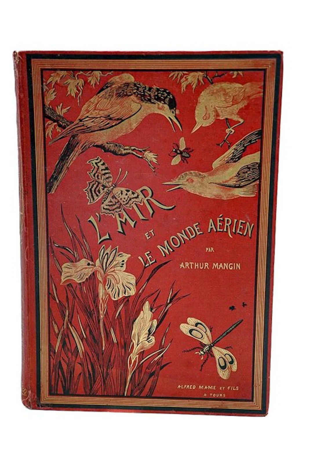 Arthur Mangin - L'air et le monde aérien - 1884