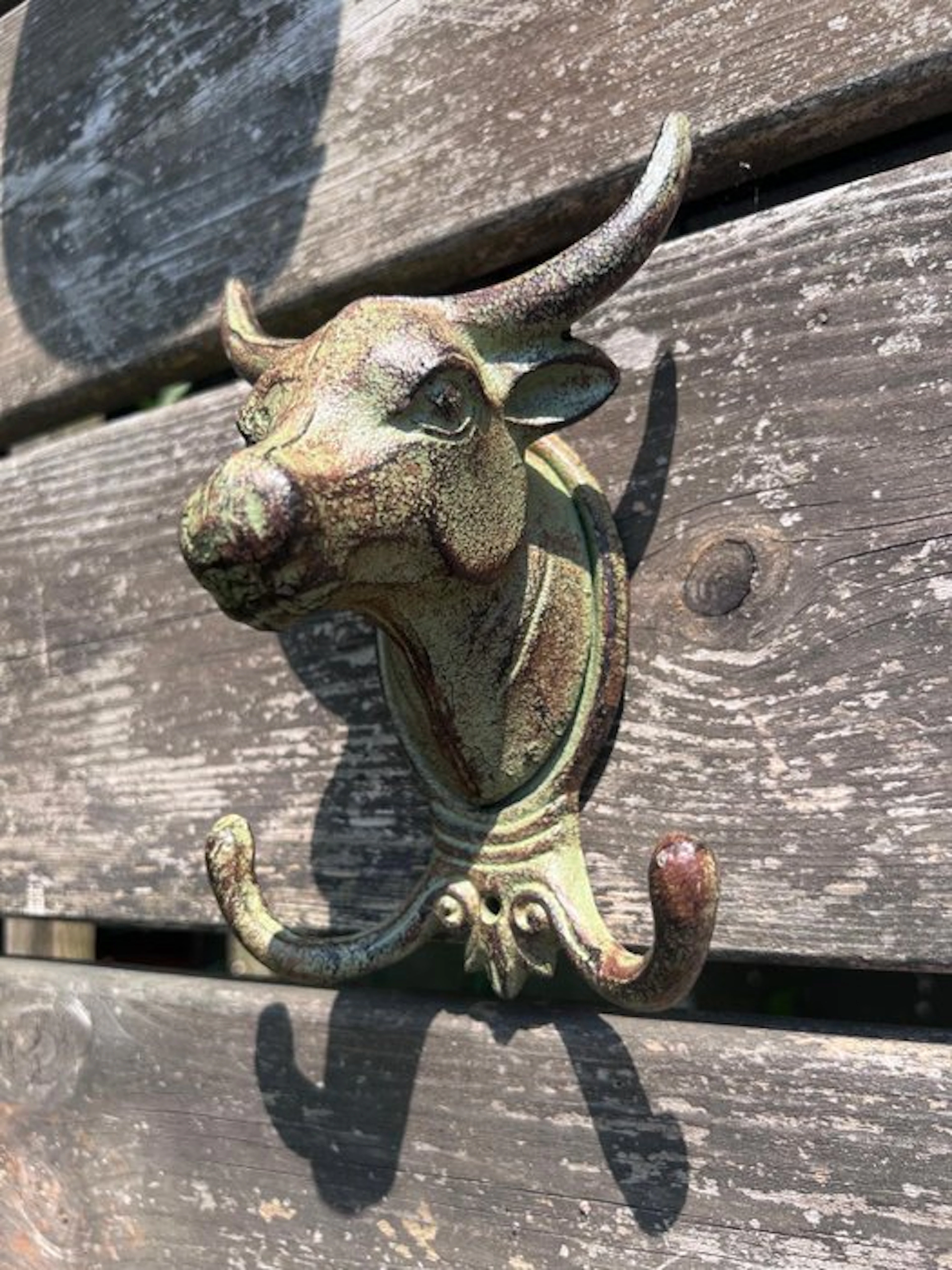 Decorative ornament - Europe - cast iron bull head