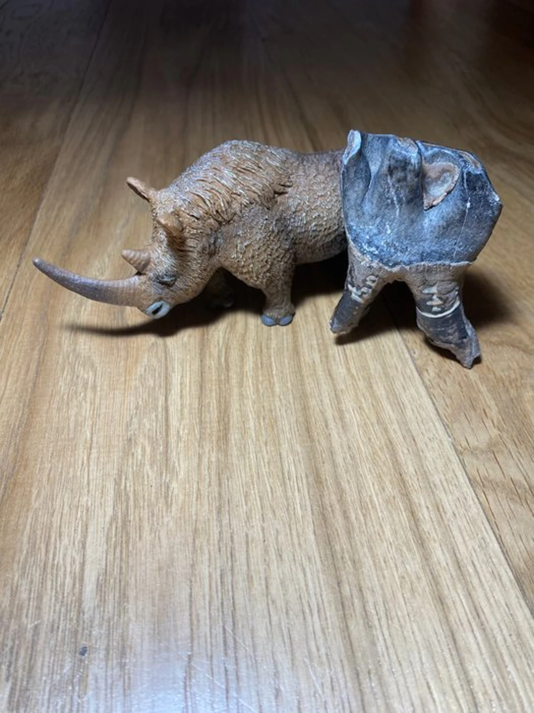 Woolly Rhinoceros - Fossil tooth - 83 mm - 54 mm