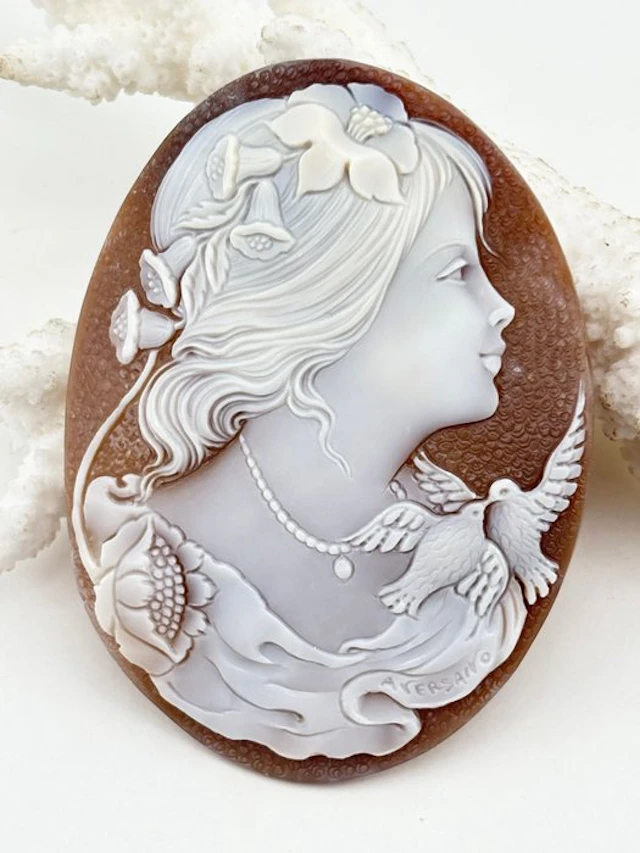 Cassis madagascariensis Cameo - Hand-carved cameo