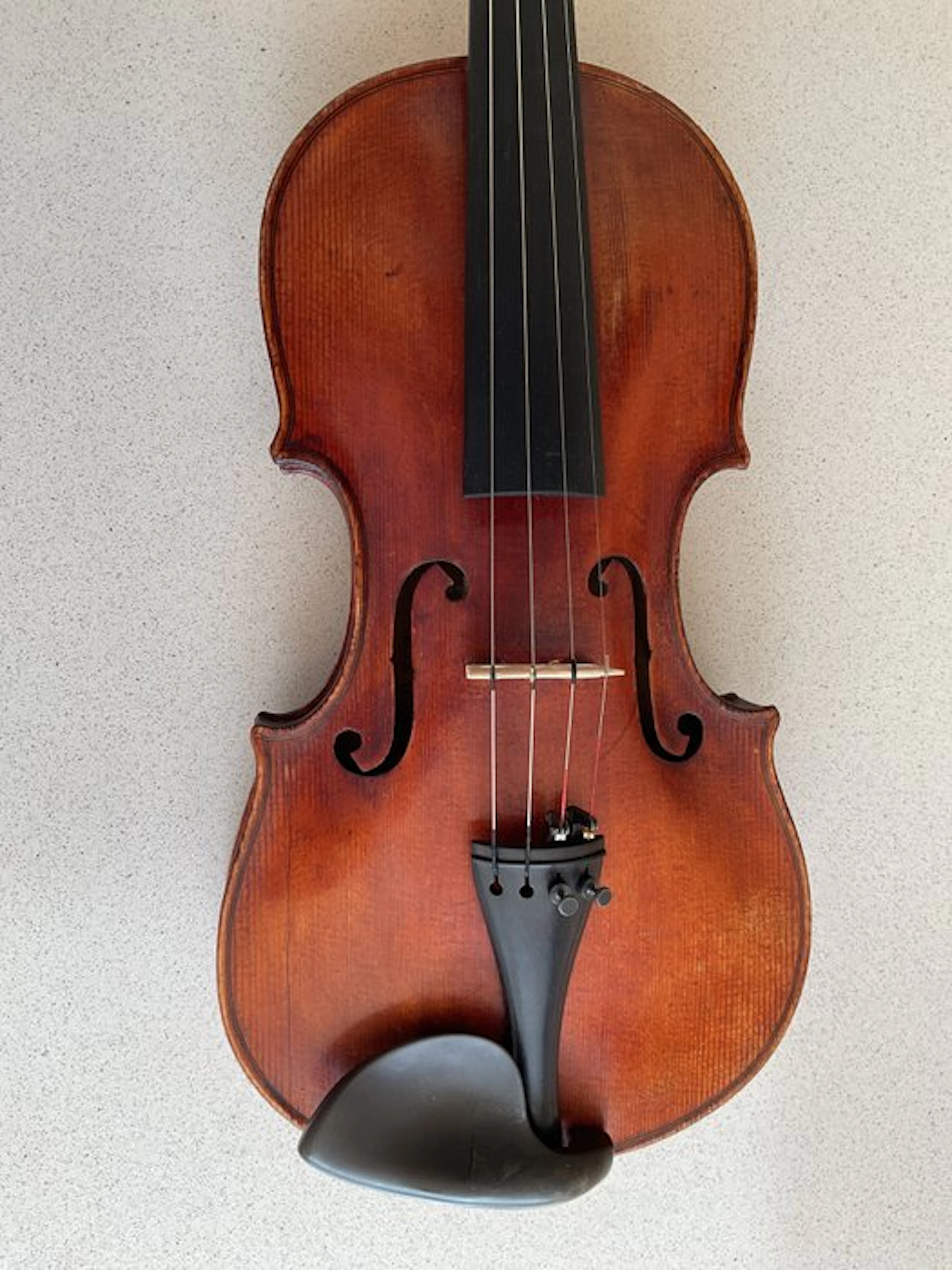 Labelled Stainer - - Violin - Germany - 1880