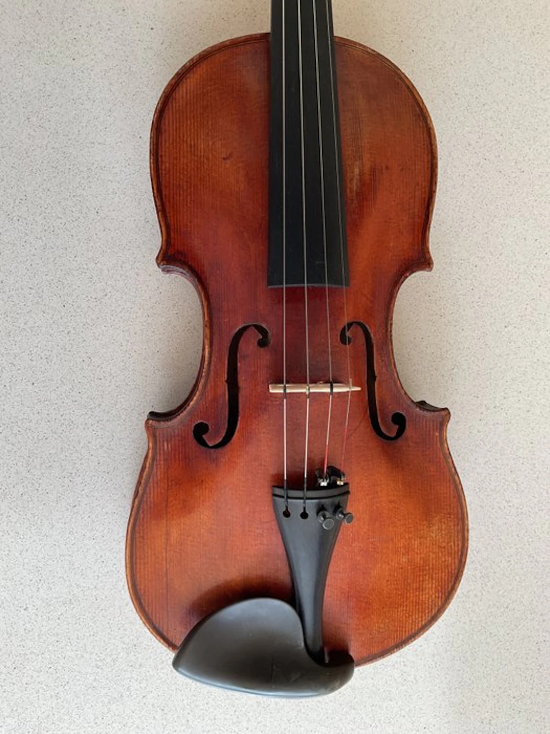 Labelled Stainer - - Violin - Germany - 1880