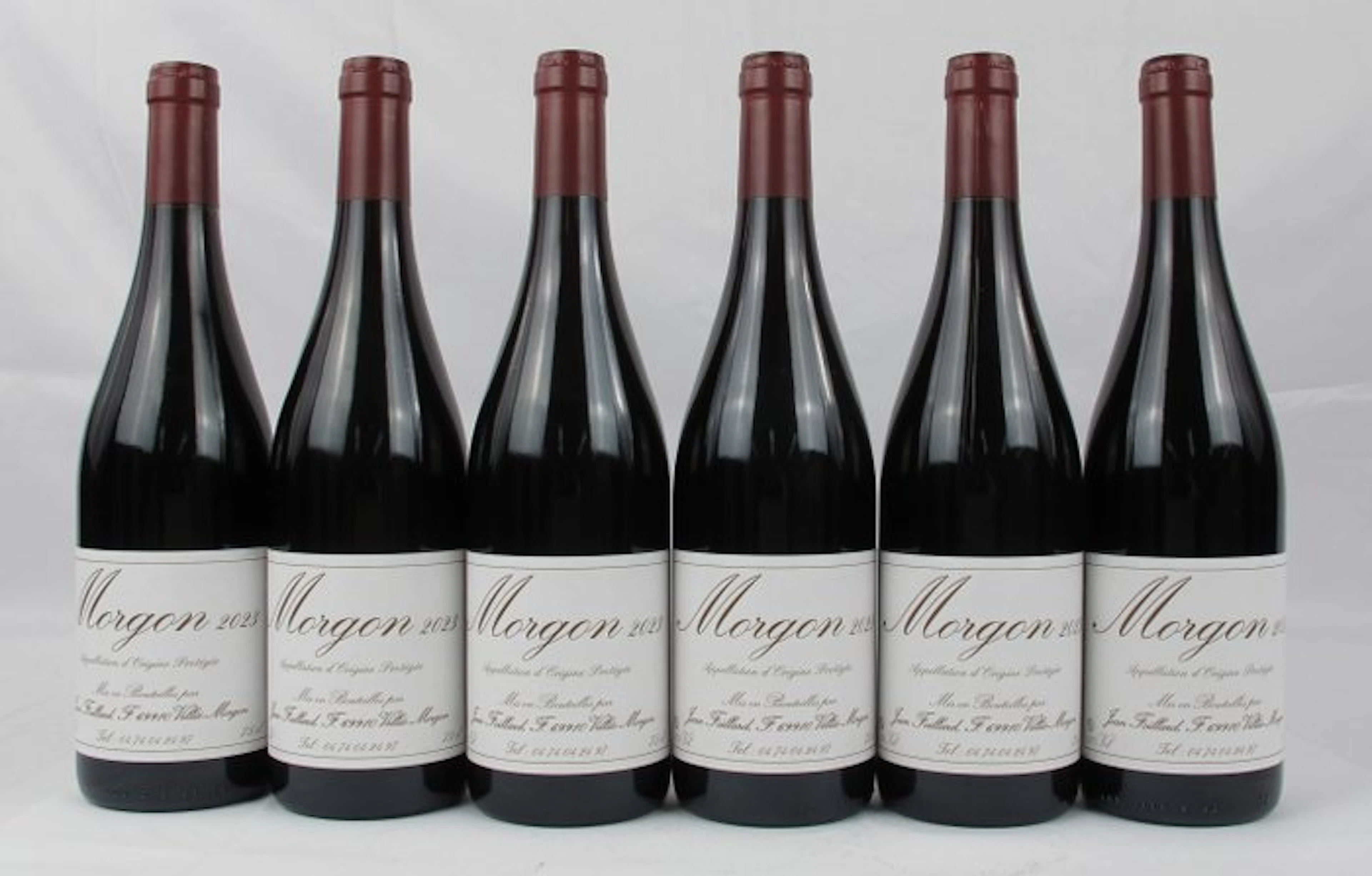 2023 Jean Foillard - Morgon - 6 Bottles (0.75L)
