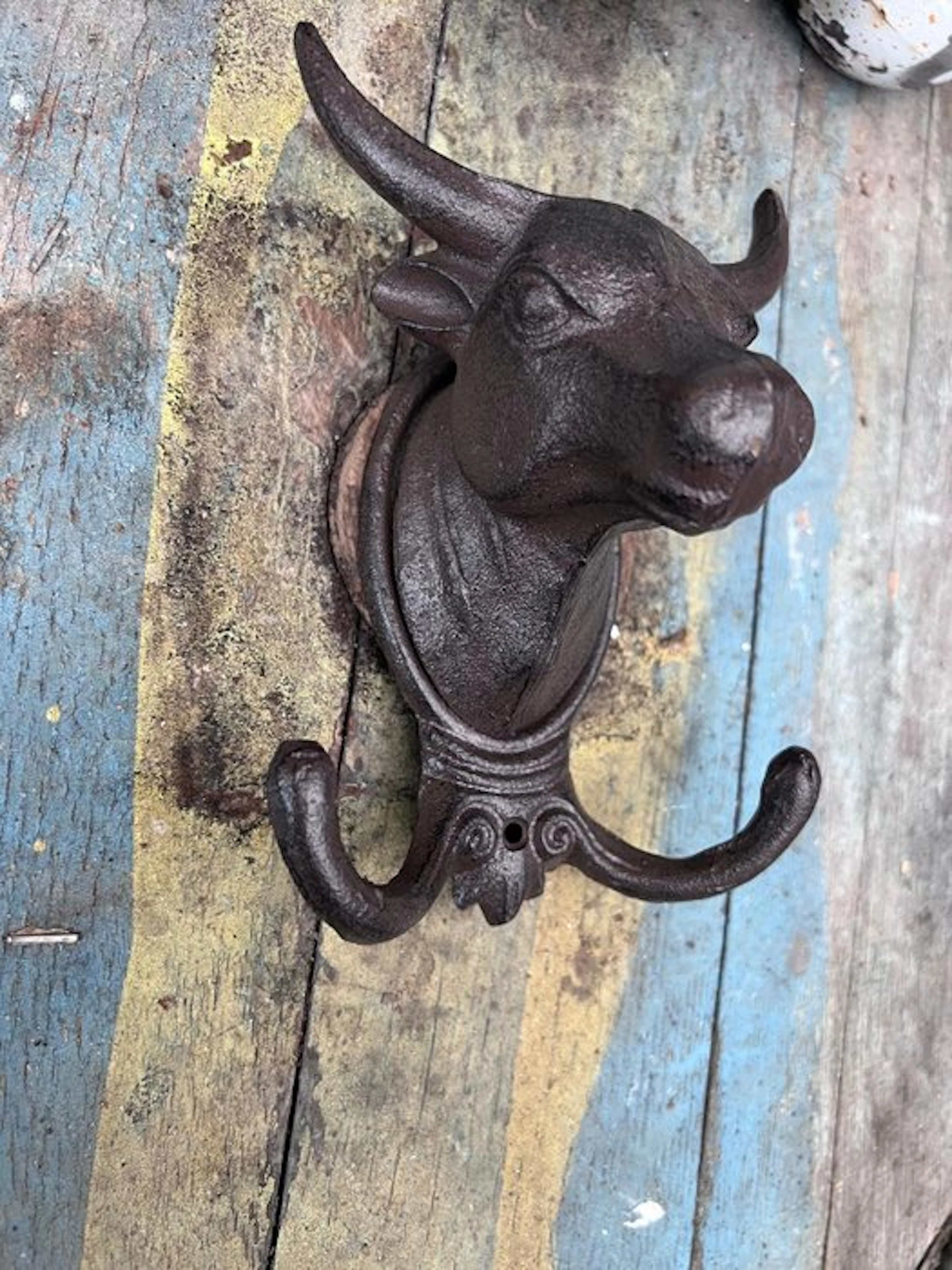 Decorative ornament - Europe - cast iron bull head
