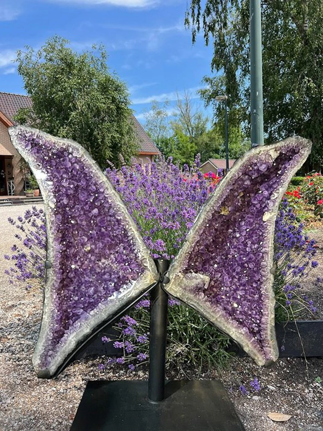 Amethyst different - Height: 126 cm - Width: 123 cm- 187 kg - (1)
