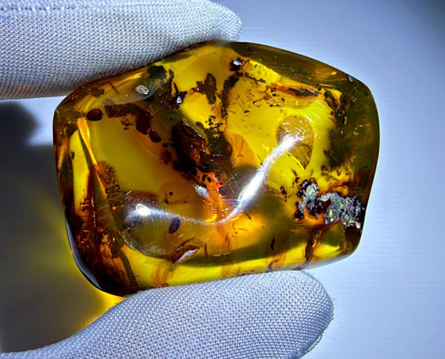Dominican Fossil Amber!! AAA Quality!! No Reserve Price- 25.04 g
