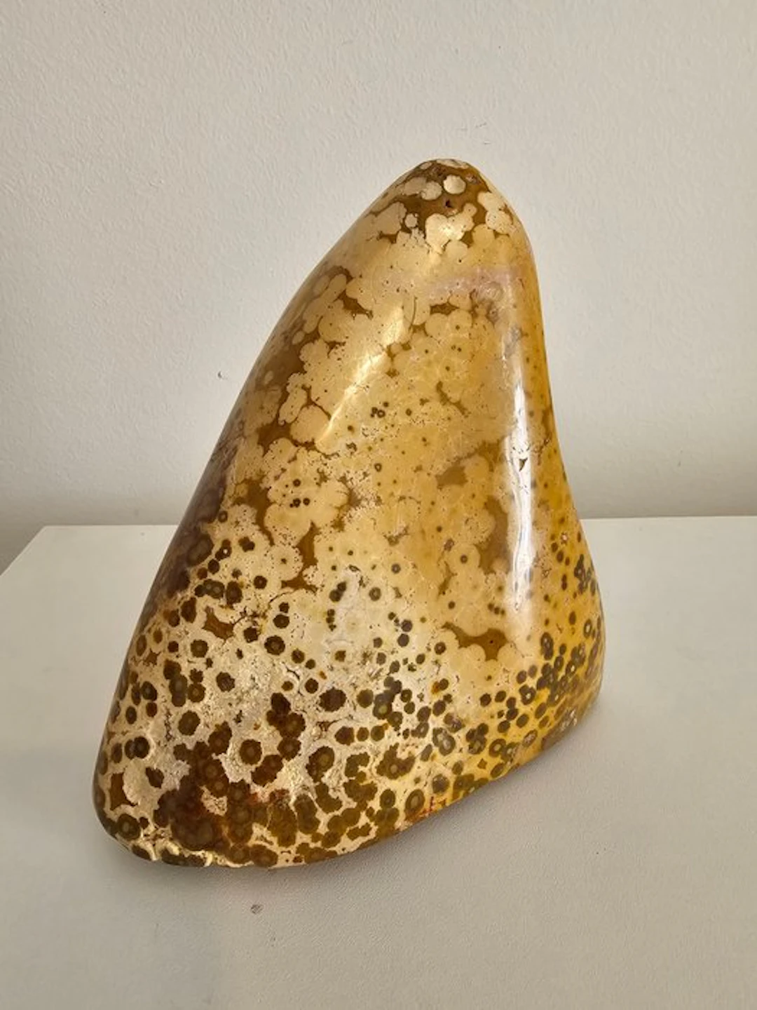 Ocean Jasper Freeform - Height: 16 cm - Width: 15 cm- 1.6 kg