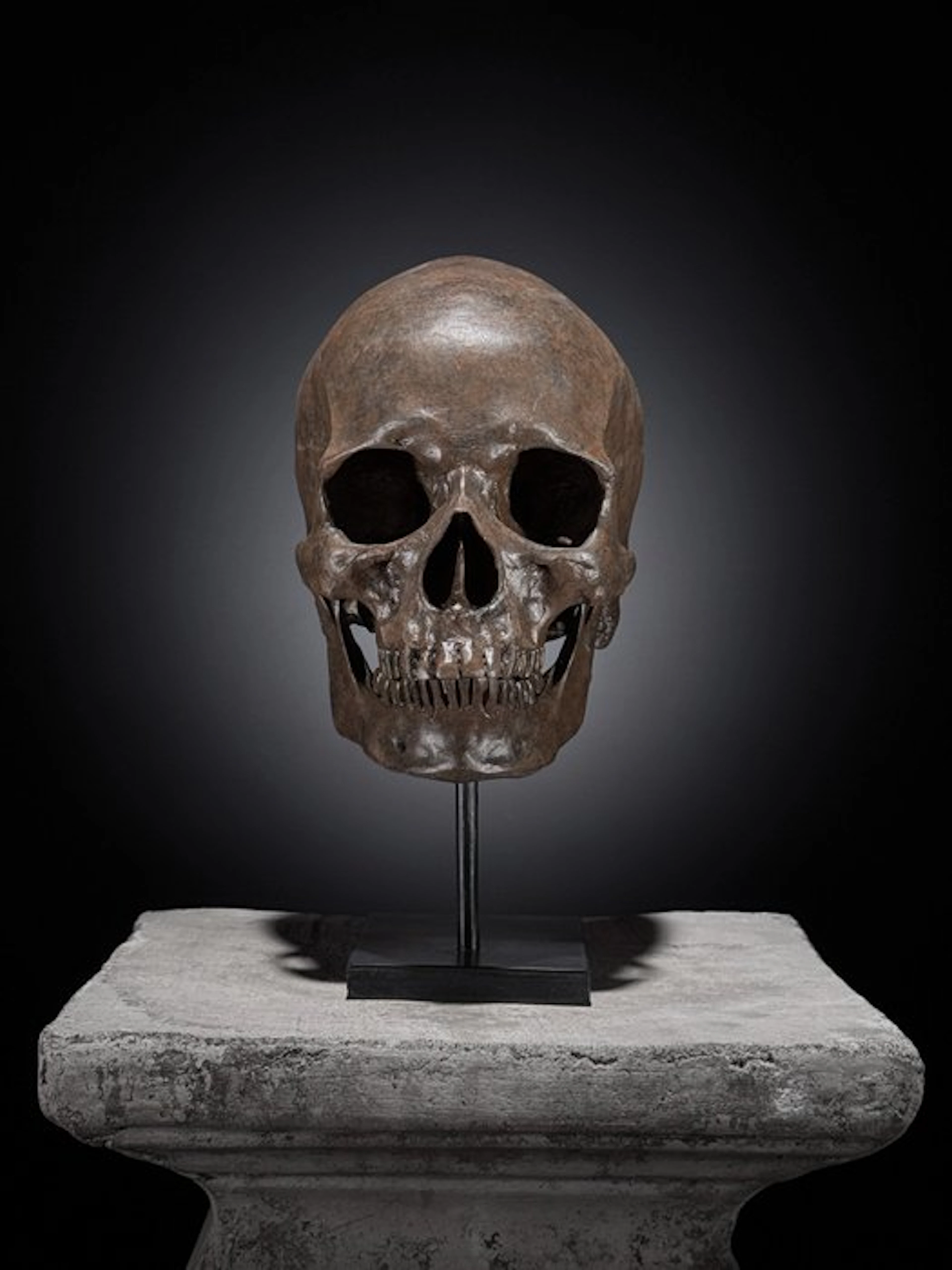 NO RESERVE PRICE - Human Skull Replica on custom stand...