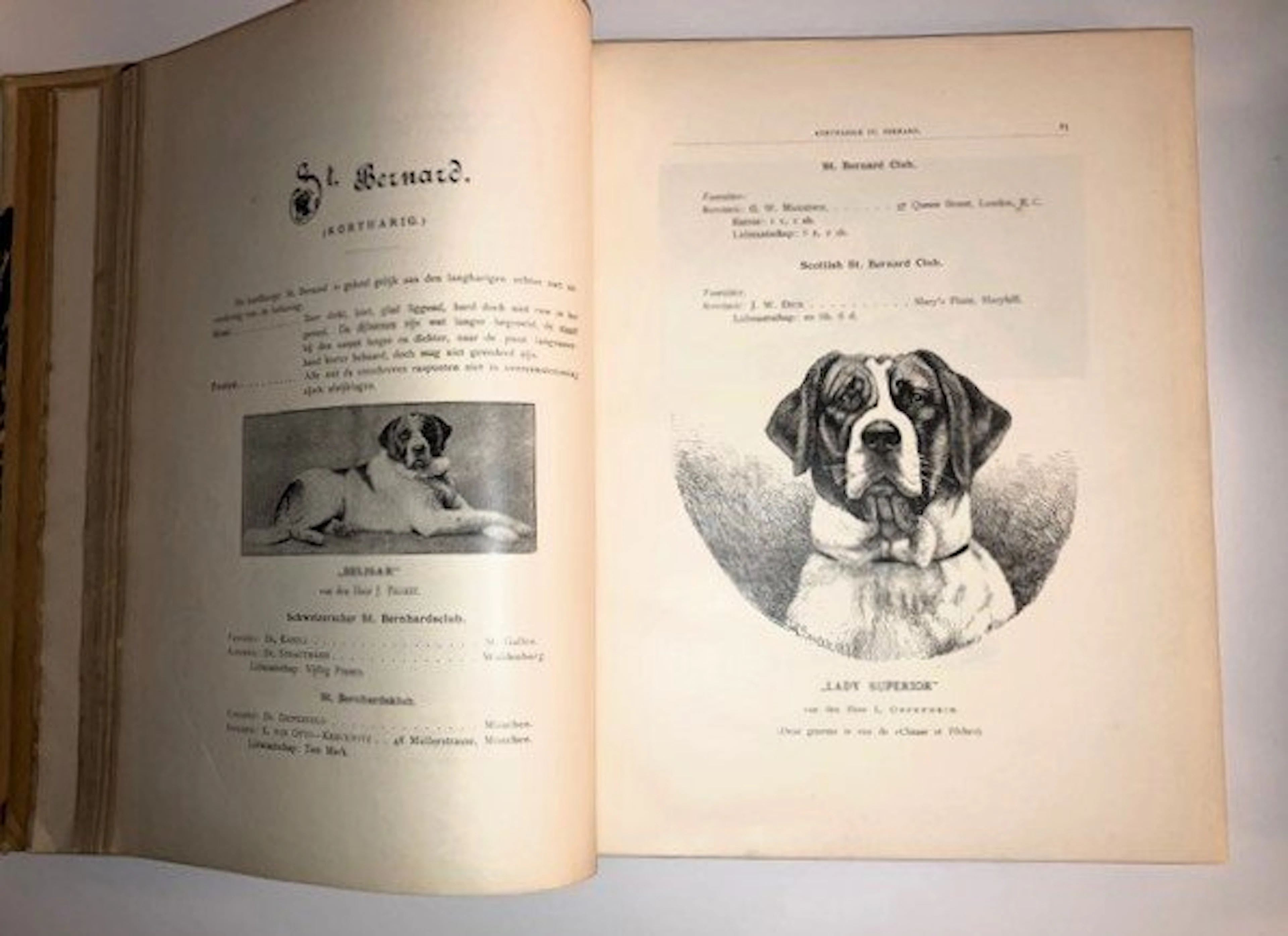 H.A. Graaf van Bylandt - Raspuntenboek van de meest bekende Hondenrassen - 1894