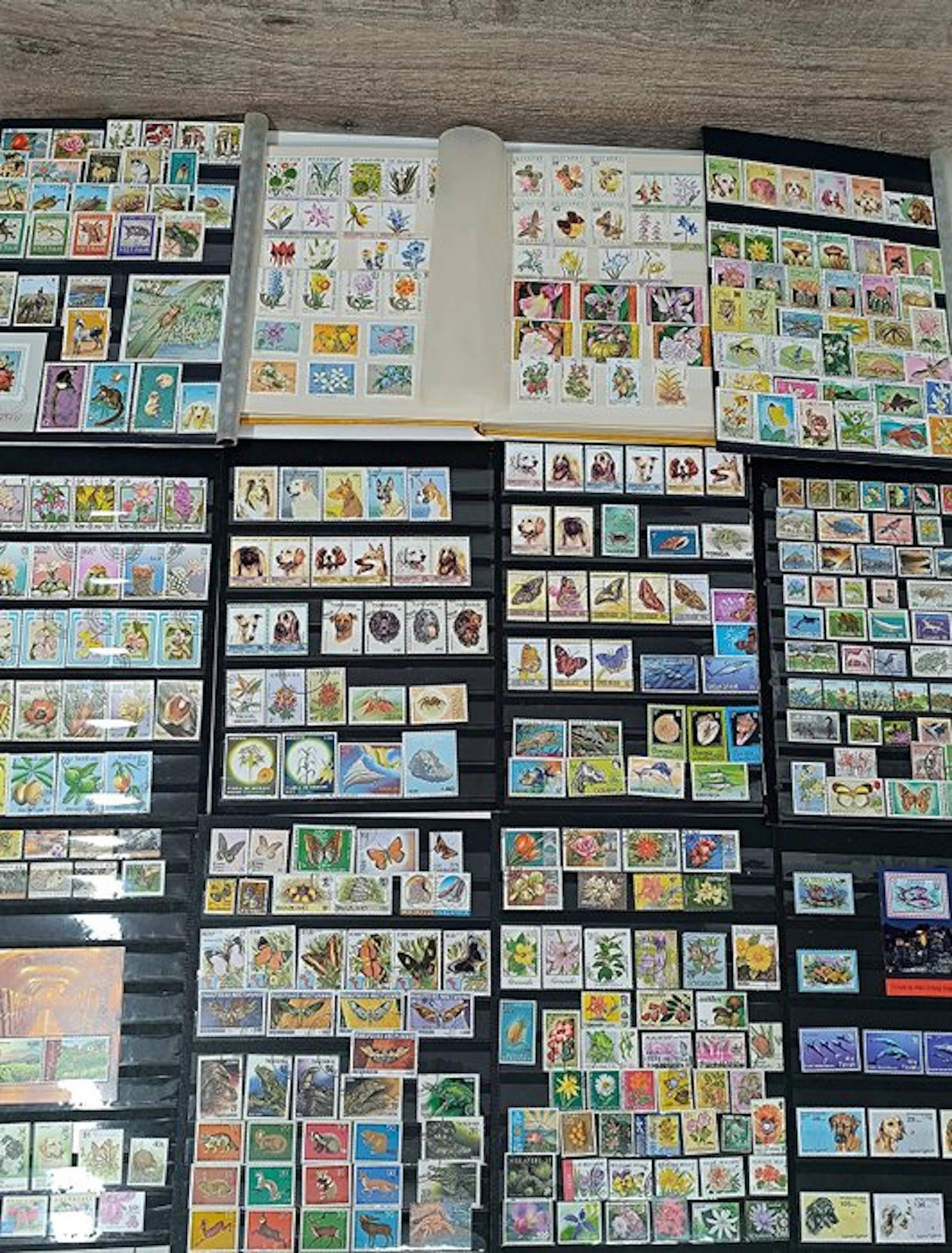 World - Large collection of flora and fauna in two albums.