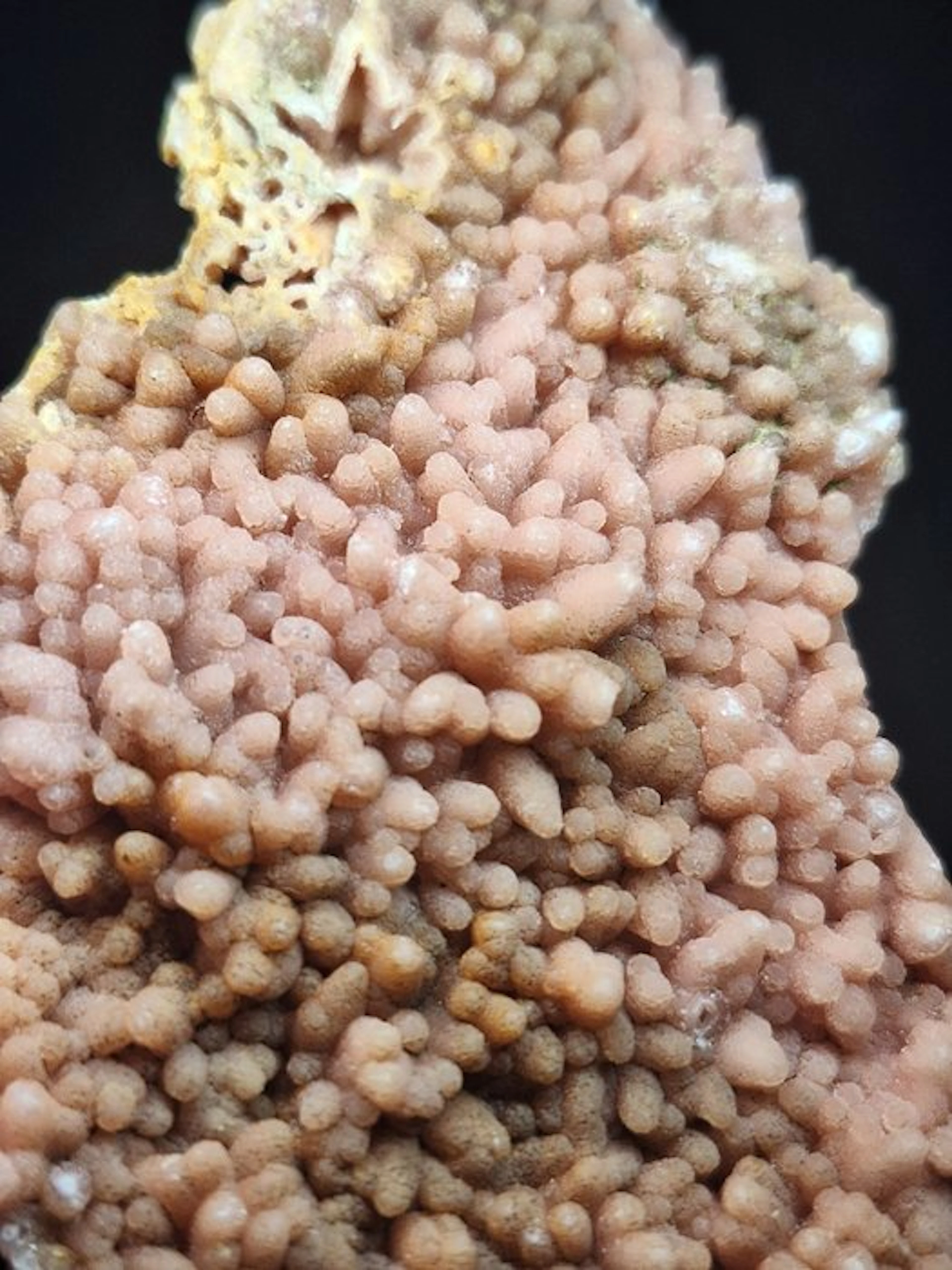 Very rare rhodochrosite after calcite Specimen - Height...