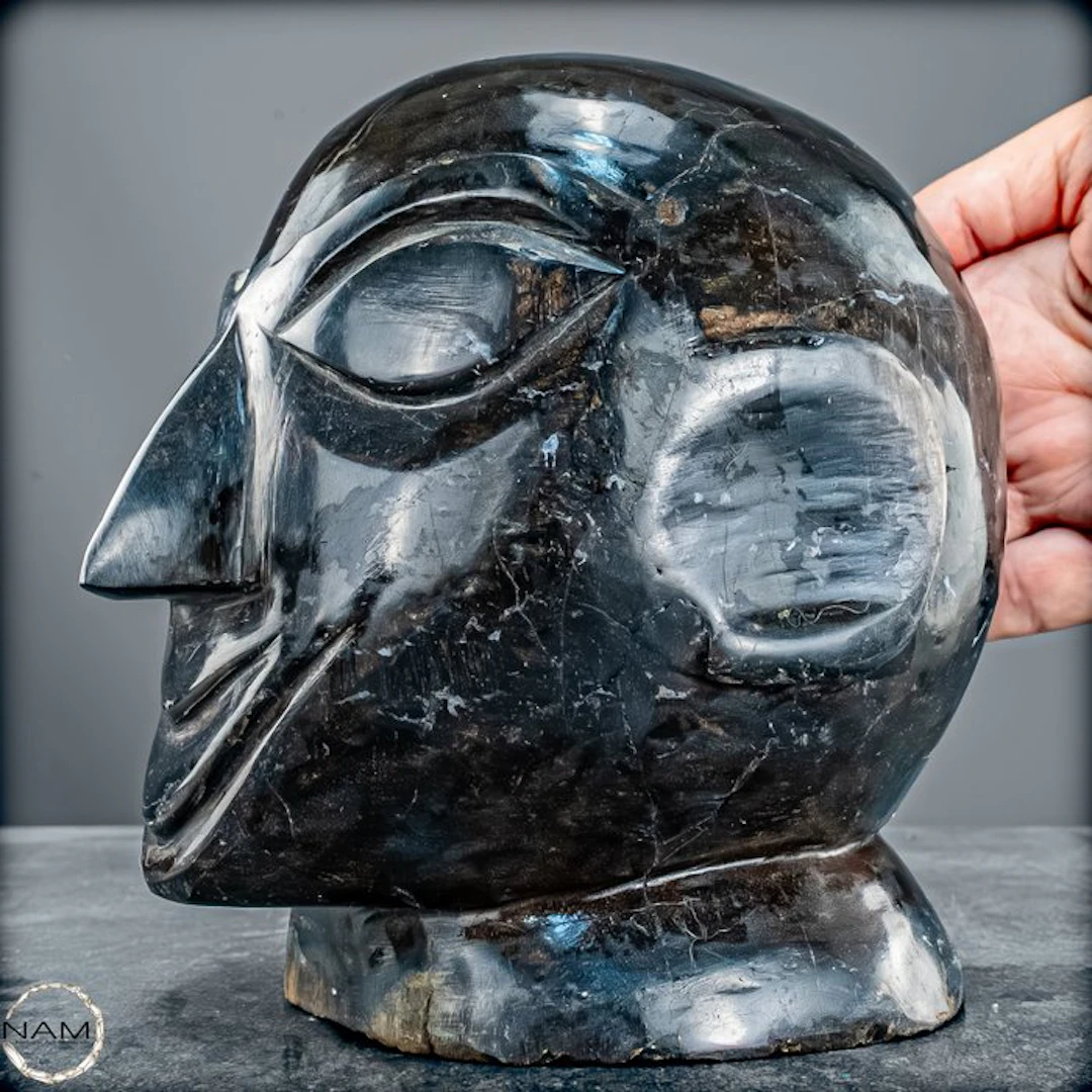 Hand-carved skull from petrified wood – Unique sculpture from Africa- 2809.91 g