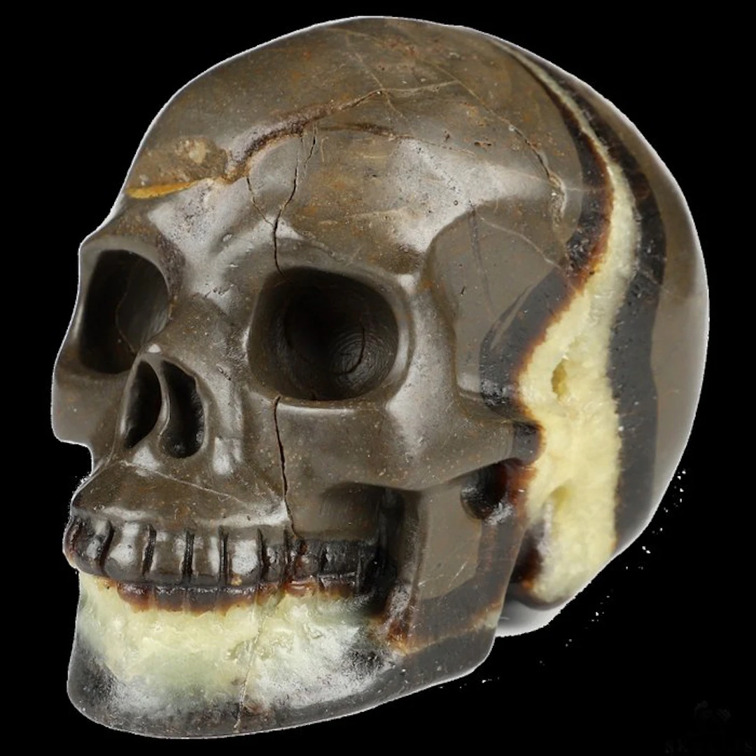 498 g 8.80 × 6.80 cm Fossil real dragon Septarian stone skull Carving- 498 g