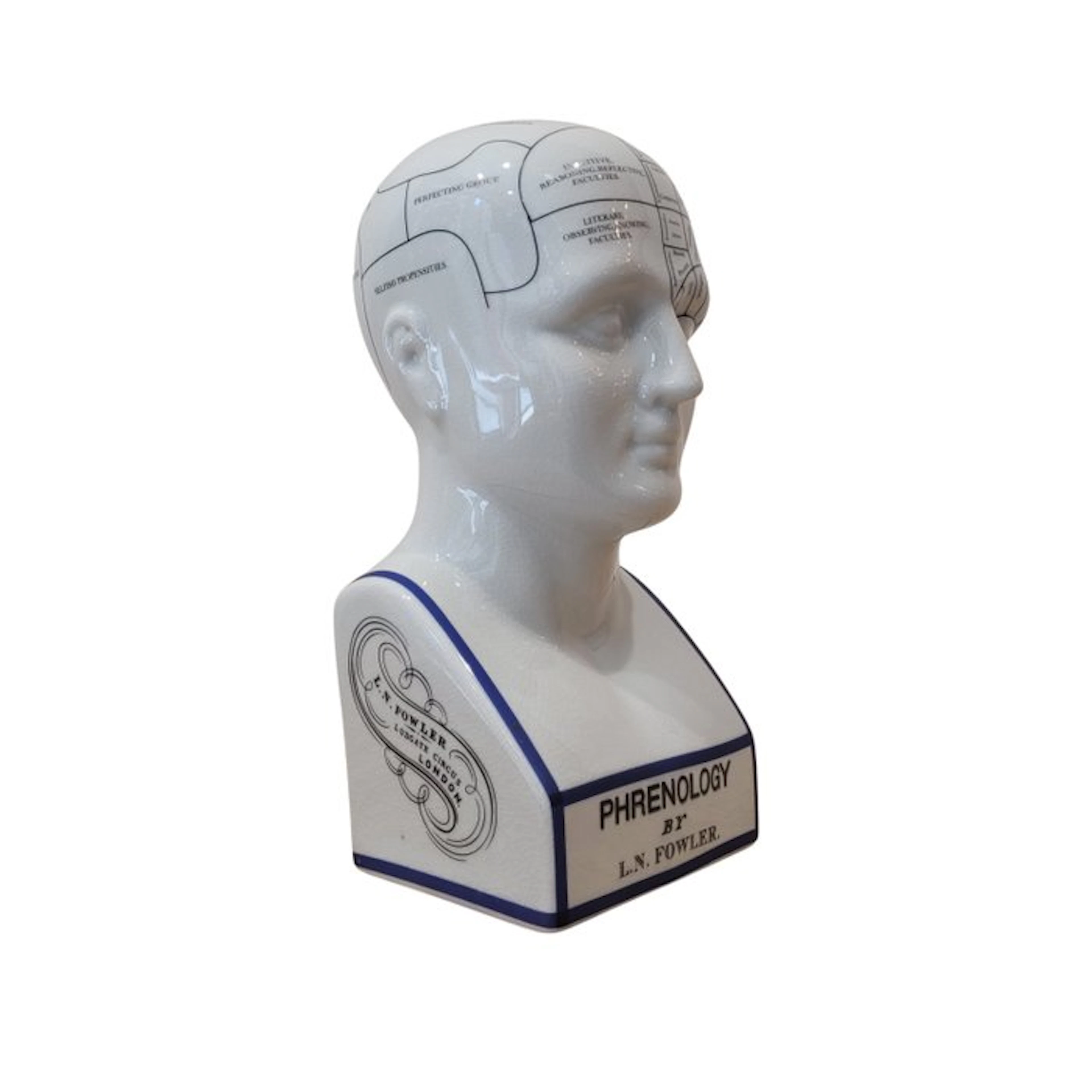 Authentic Models - Bust, Busto Frenológico, Fowler - 29 cm - Porcelain