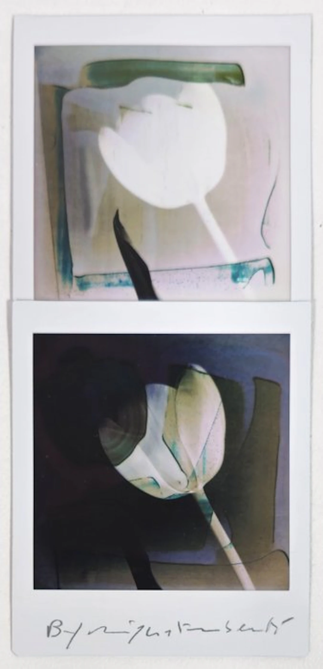 Maurizio Galimberti (1956–) - BiFlowers - 11549