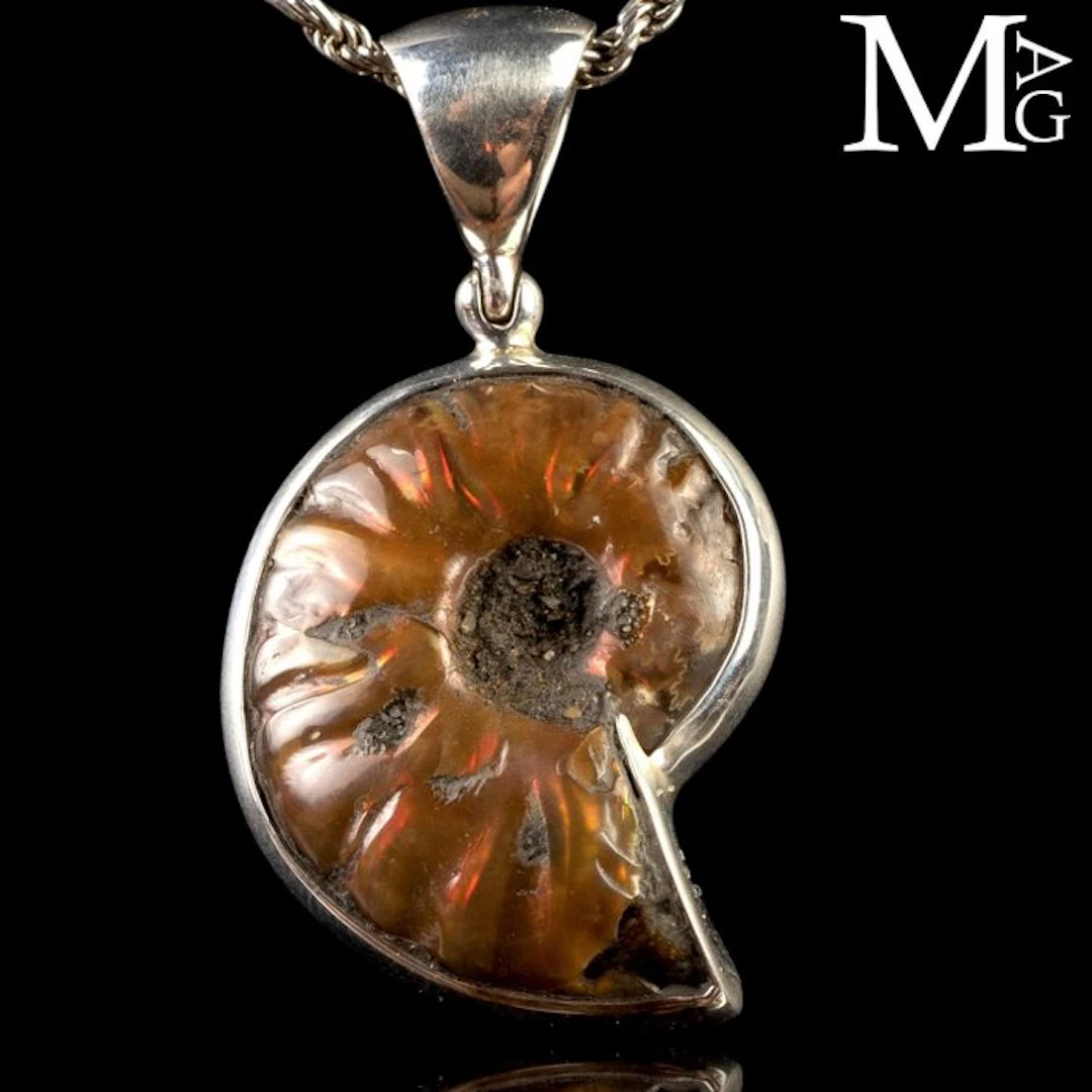 Sterling Silver Pendant Iridescent Cleoniceras Ammonite...