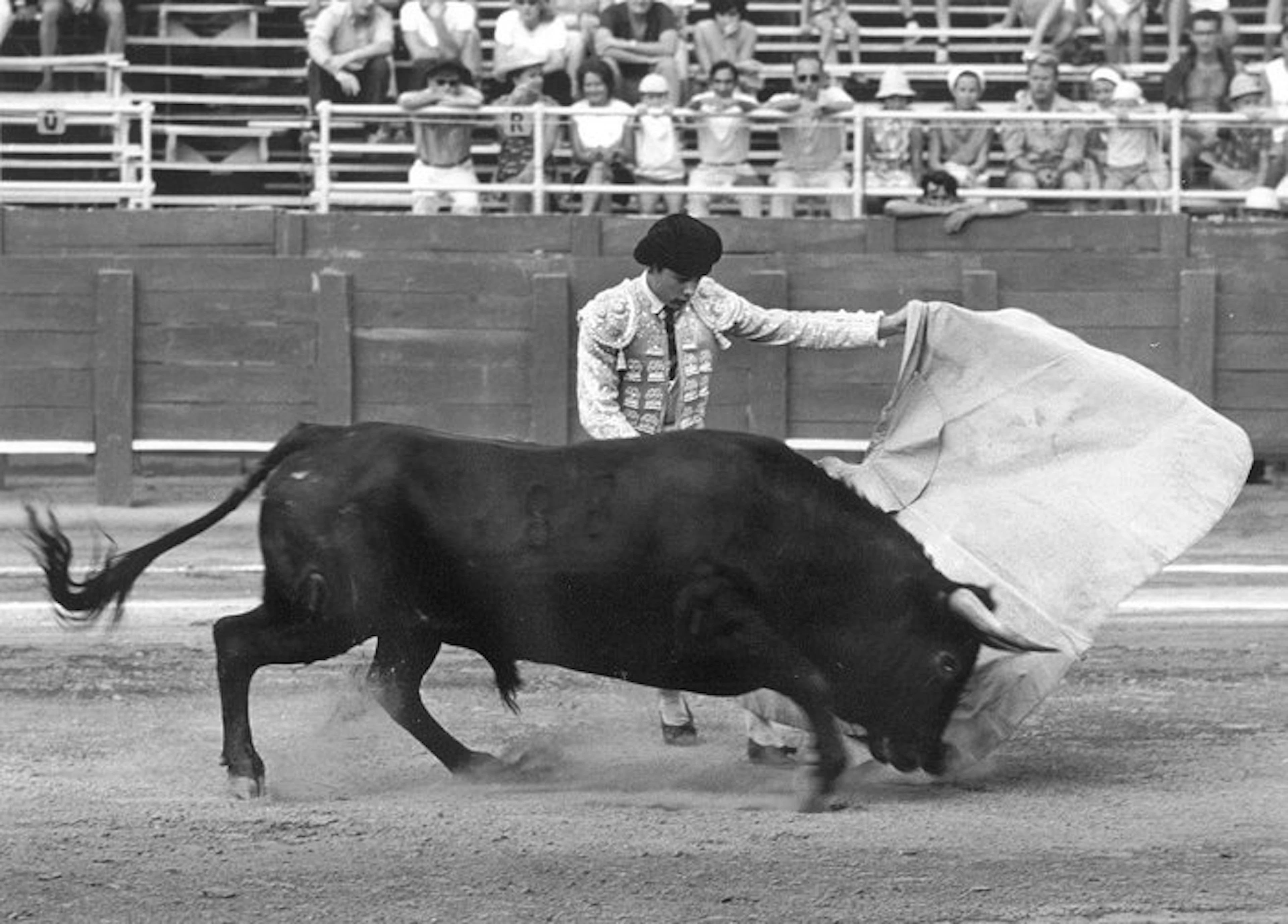 Hubertus Hierl (1940) - Stierkampf in Fréjus (7.8.1966) - Silbergelatine