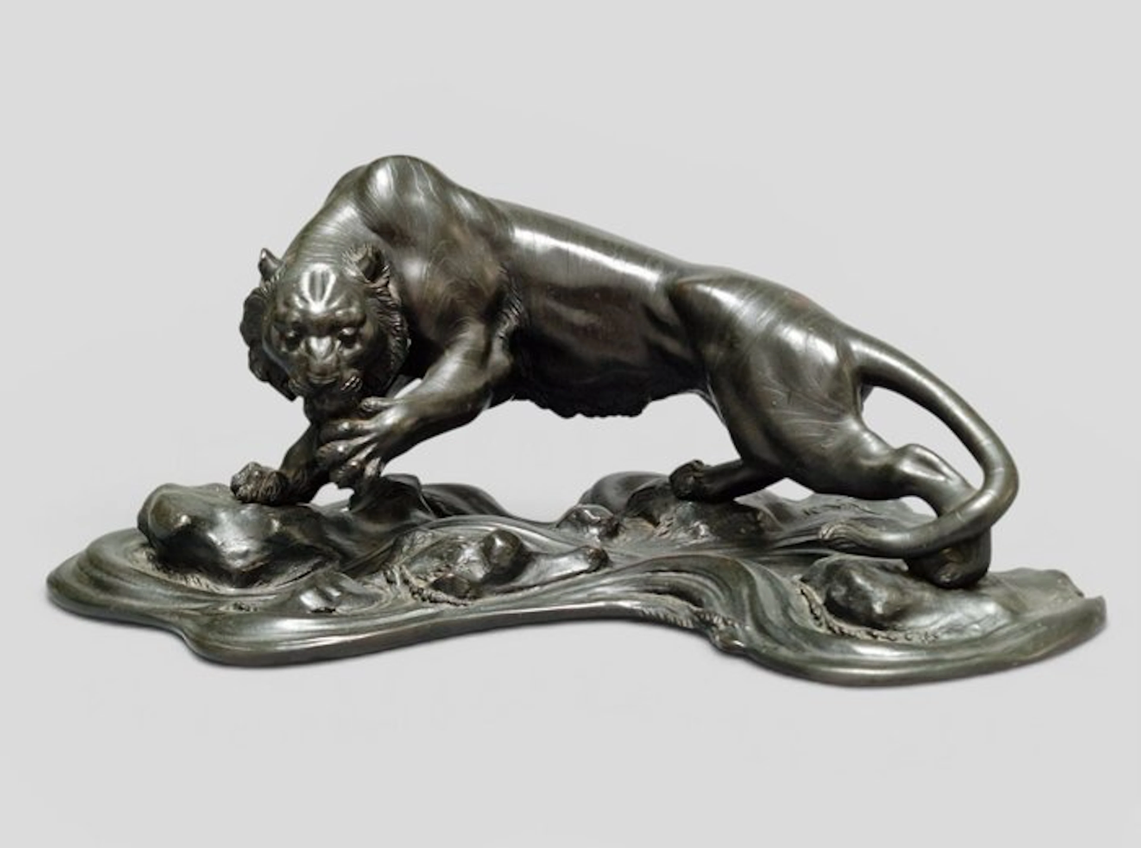 A very Large Japanese Bronze Okimono Tiger – Licking Its Paw