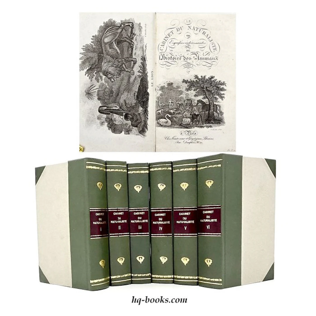 Thomas Smith - Le Cabinet du jeune naturaliste - 1821