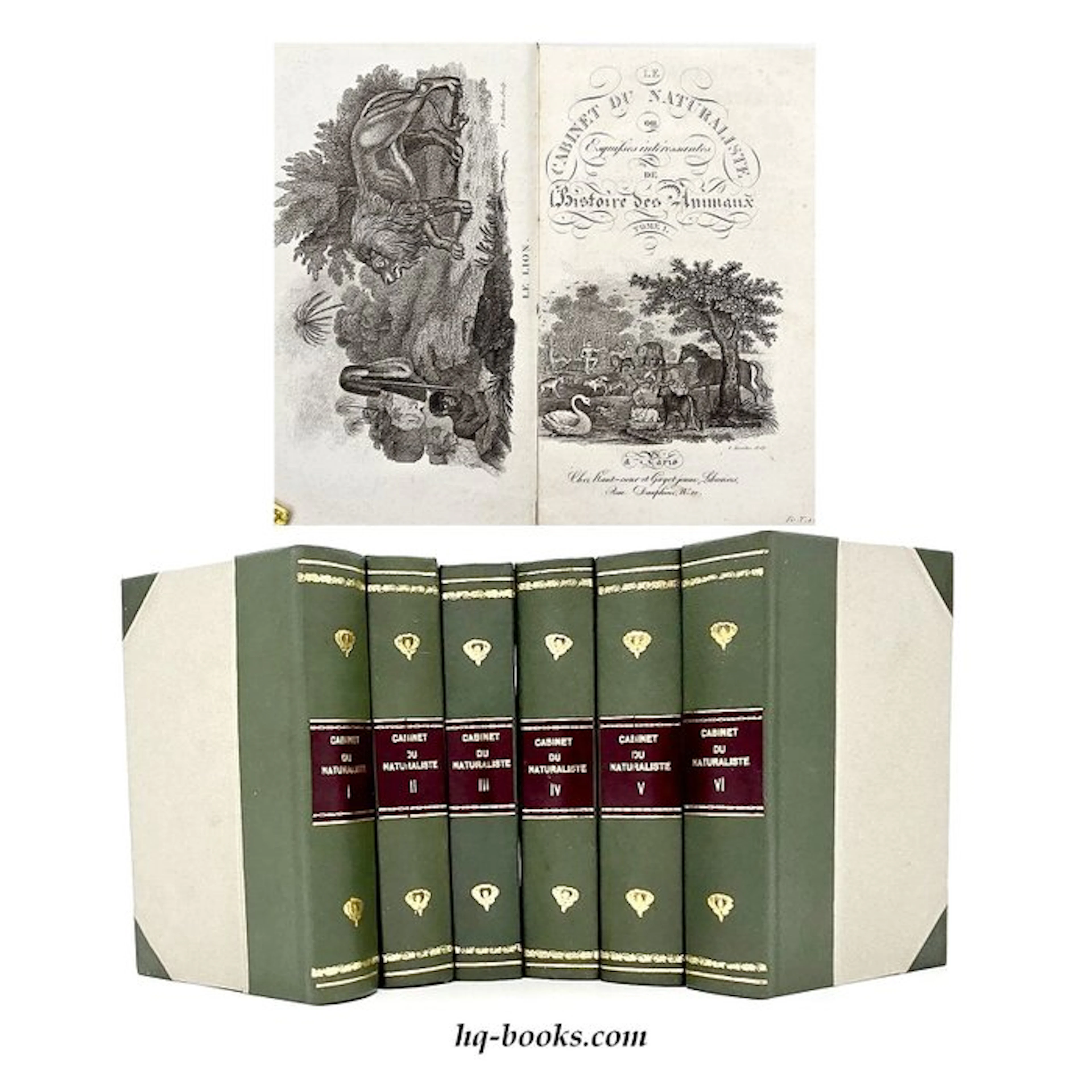Thomas Smith - Le Cabinet du jeune naturaliste - 1821