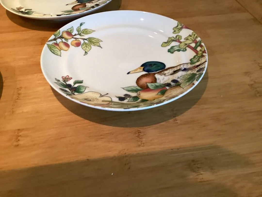 Hutschenreuther - Plate (6) - Tavola Country - Bone china