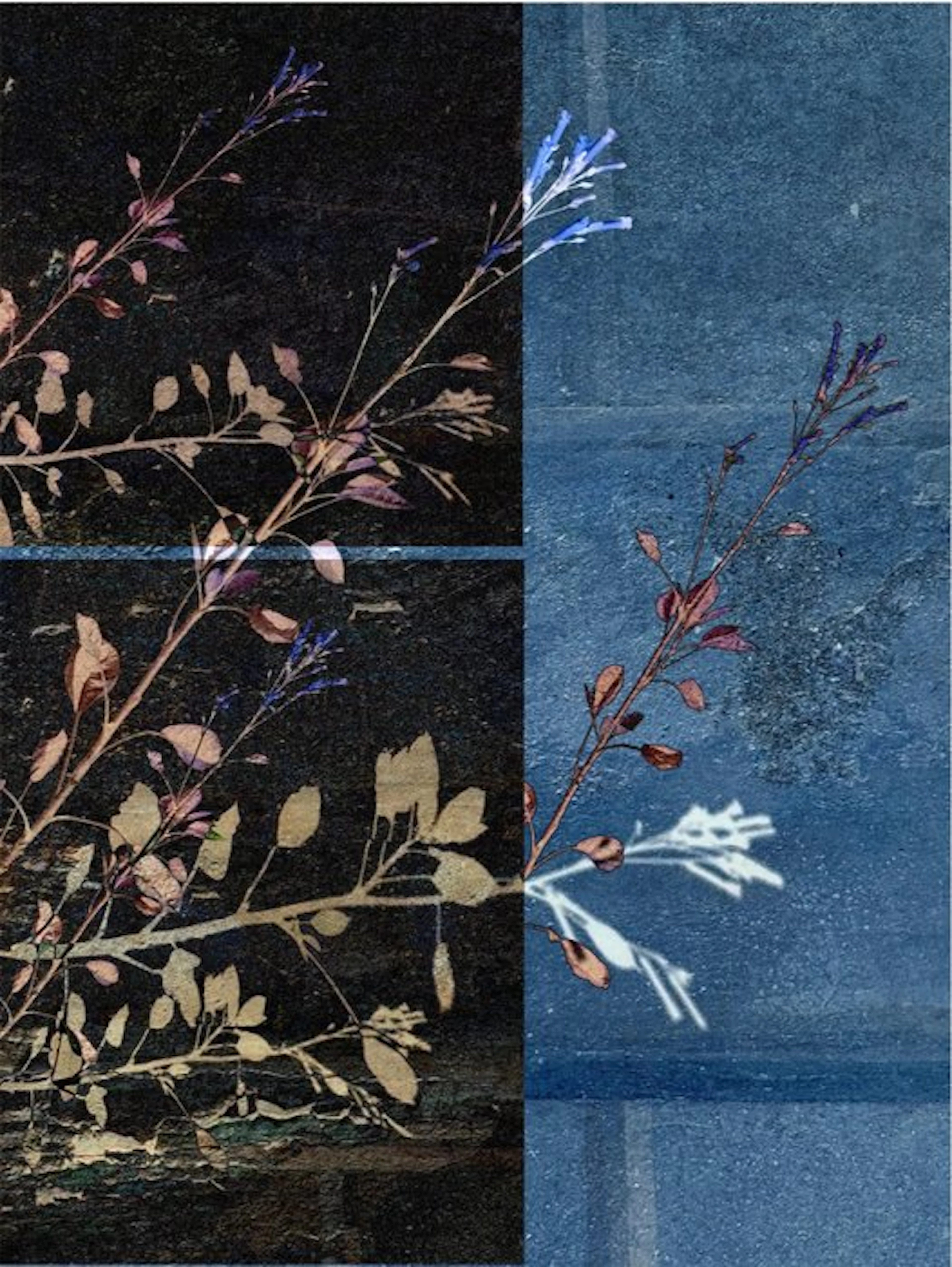 Susana Galbis - Half life in blue