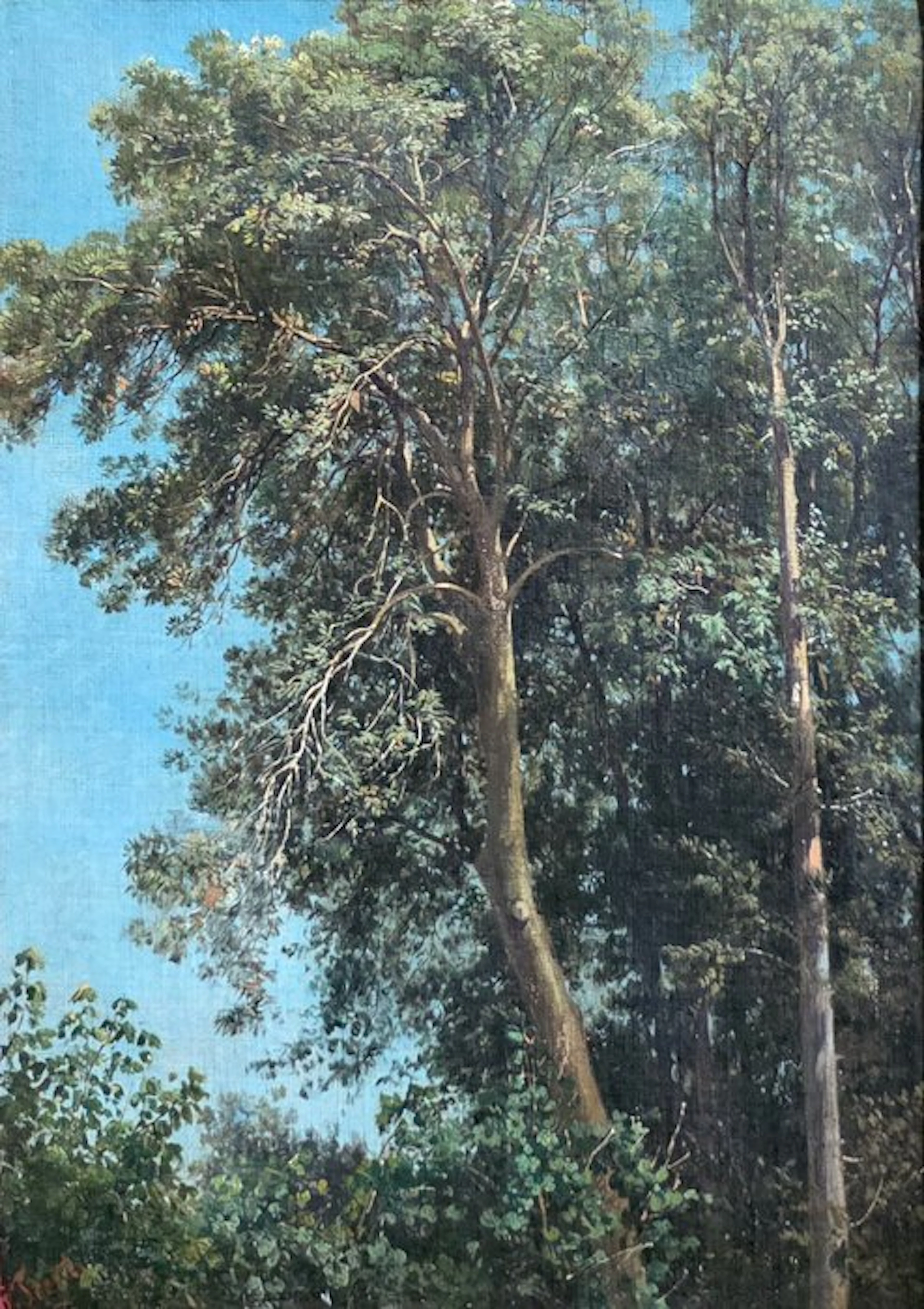 Girolamo Trenti (1824-1898) - Paesaggio