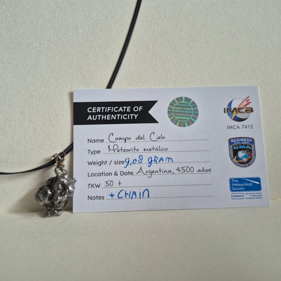 Campo del Cielo meteorite – 9.08 g – Pendant on black...