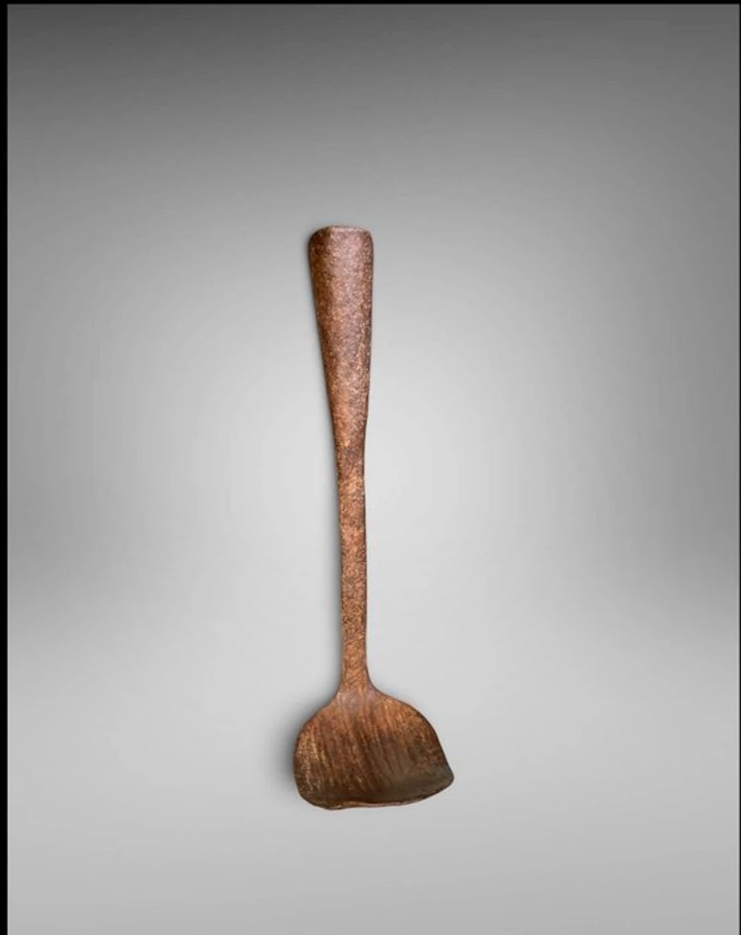 Chamba money (30 cm) - Chamba money